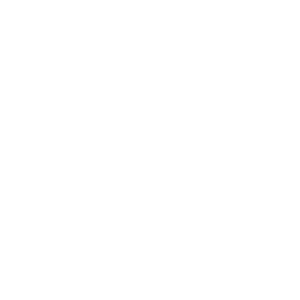 The image is blank with a plain white background and no objects or details.