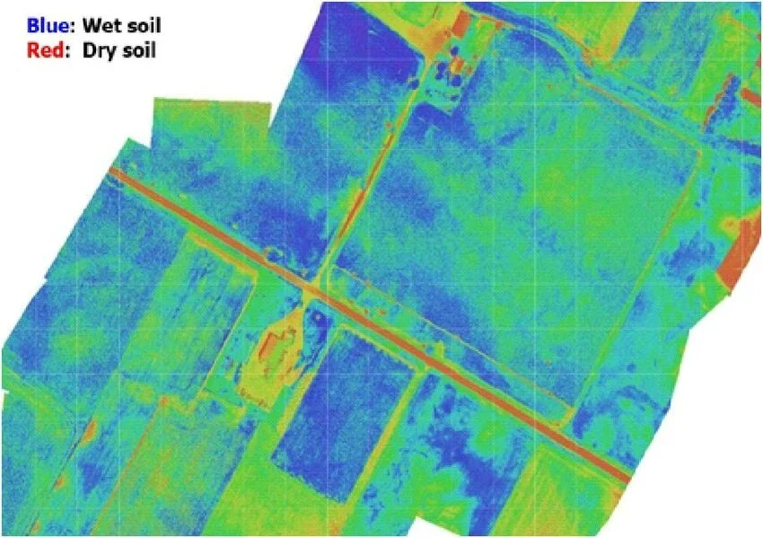 Thermal imaging can help to gain targeted knowledge, for example to promote the biodiversity of crops and to breed more robust varieties.
