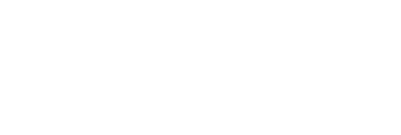 Black and white logo with the words "Minnesota" above "Bride" in large font, with a horizontal line separating them.