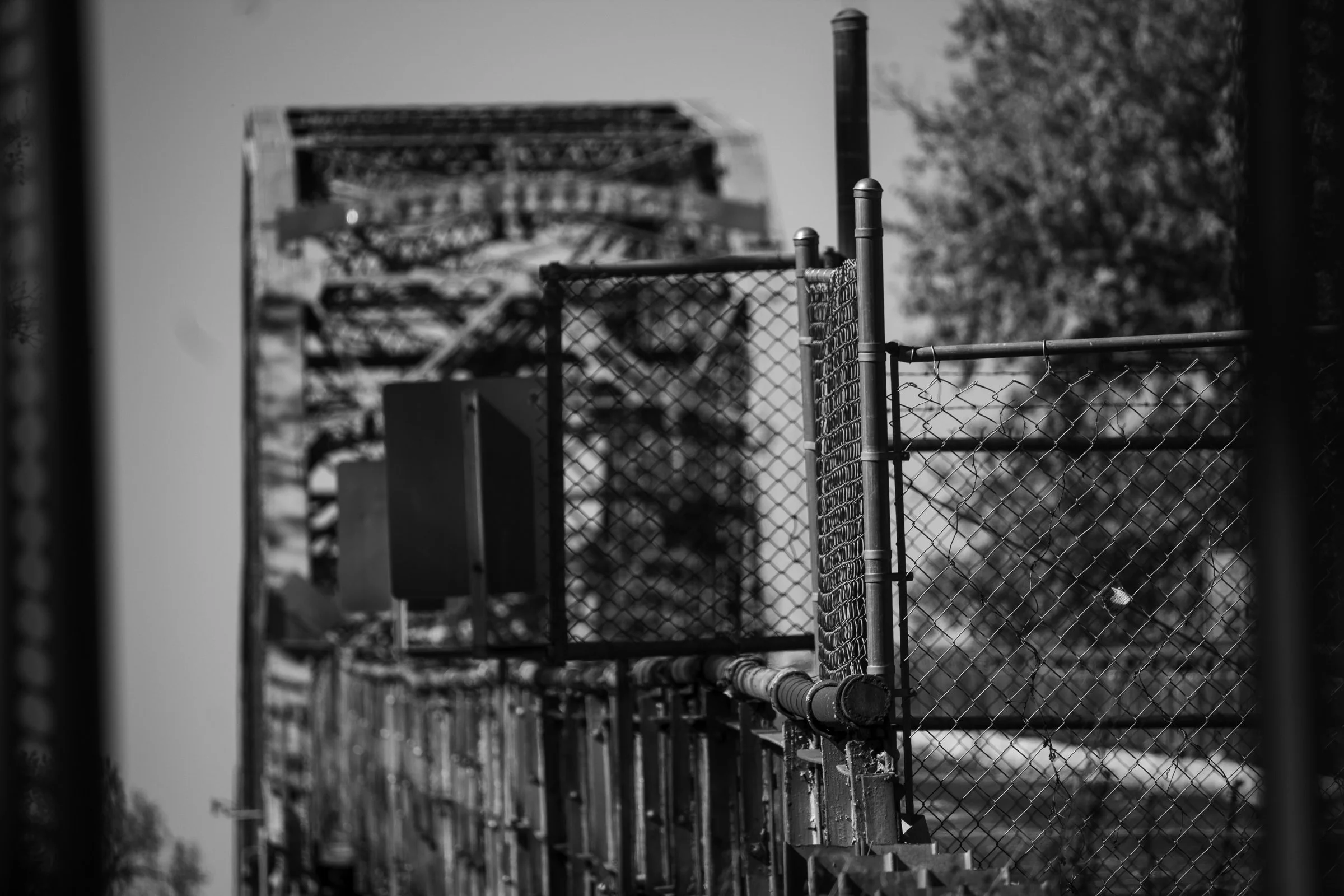 "Bridge and Fence" 2024