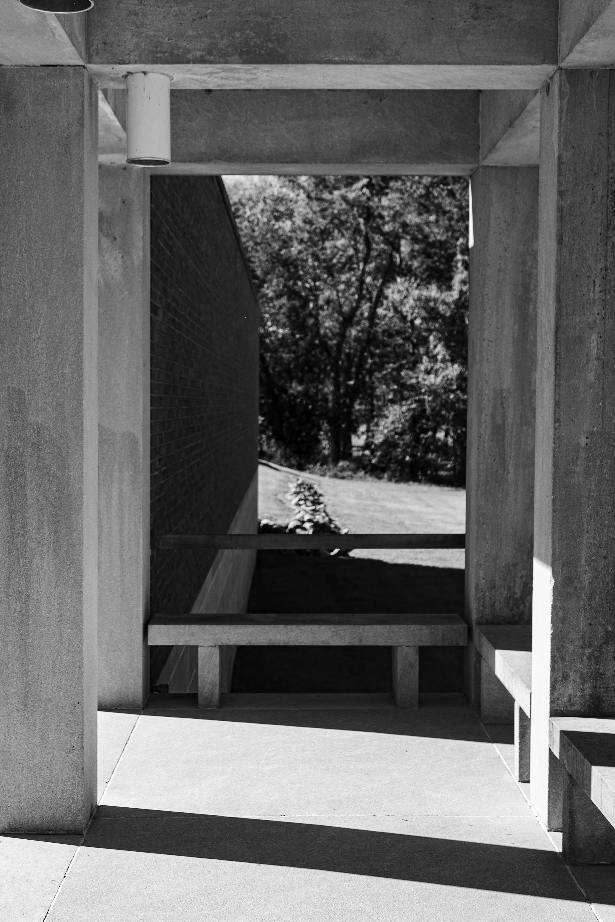 "Within the Roofless Church" 2024
