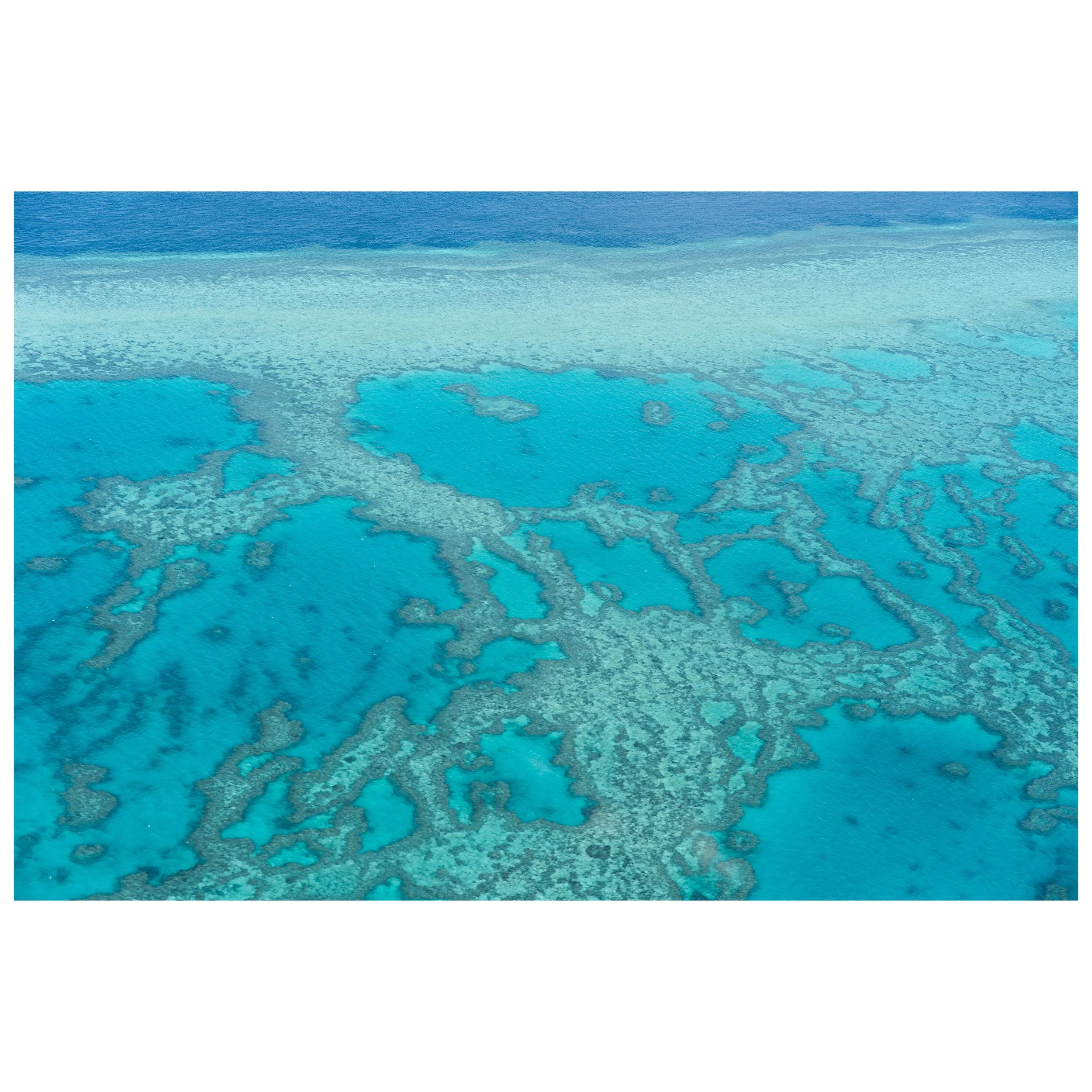 Whitsunday Reef