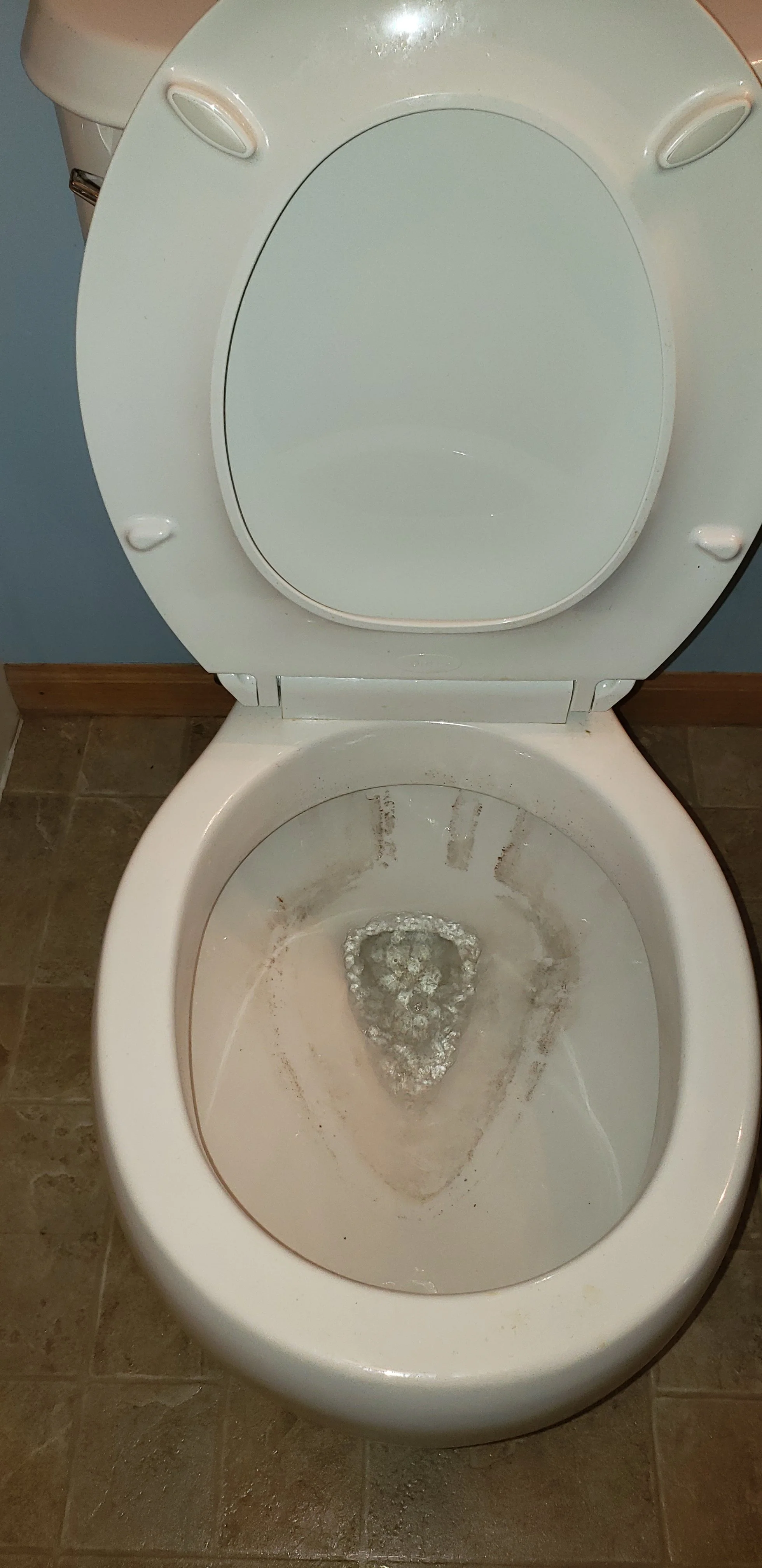 toilet before.jpg