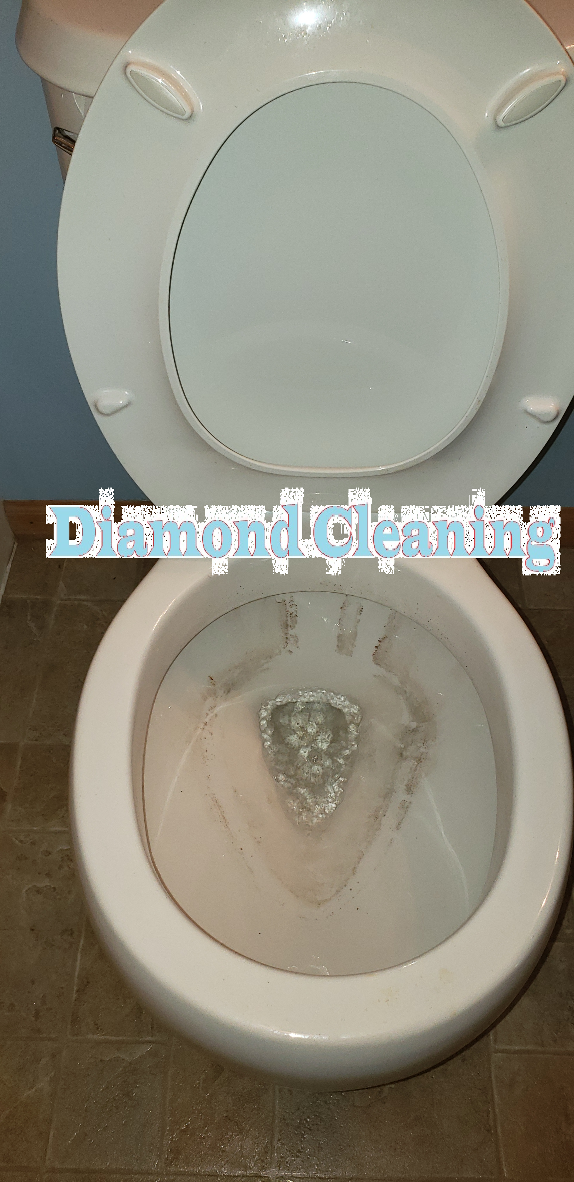 toilet before.png