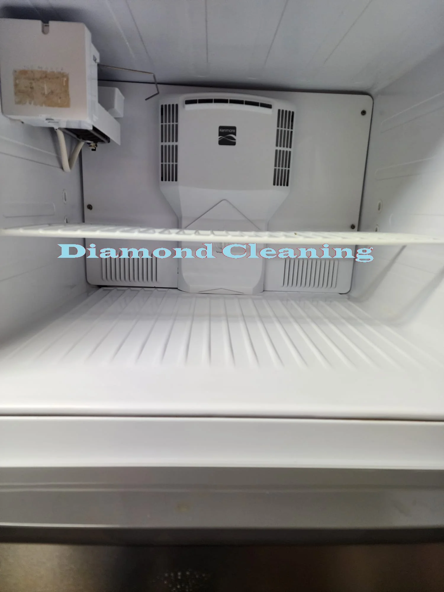 freezer after2.jpg