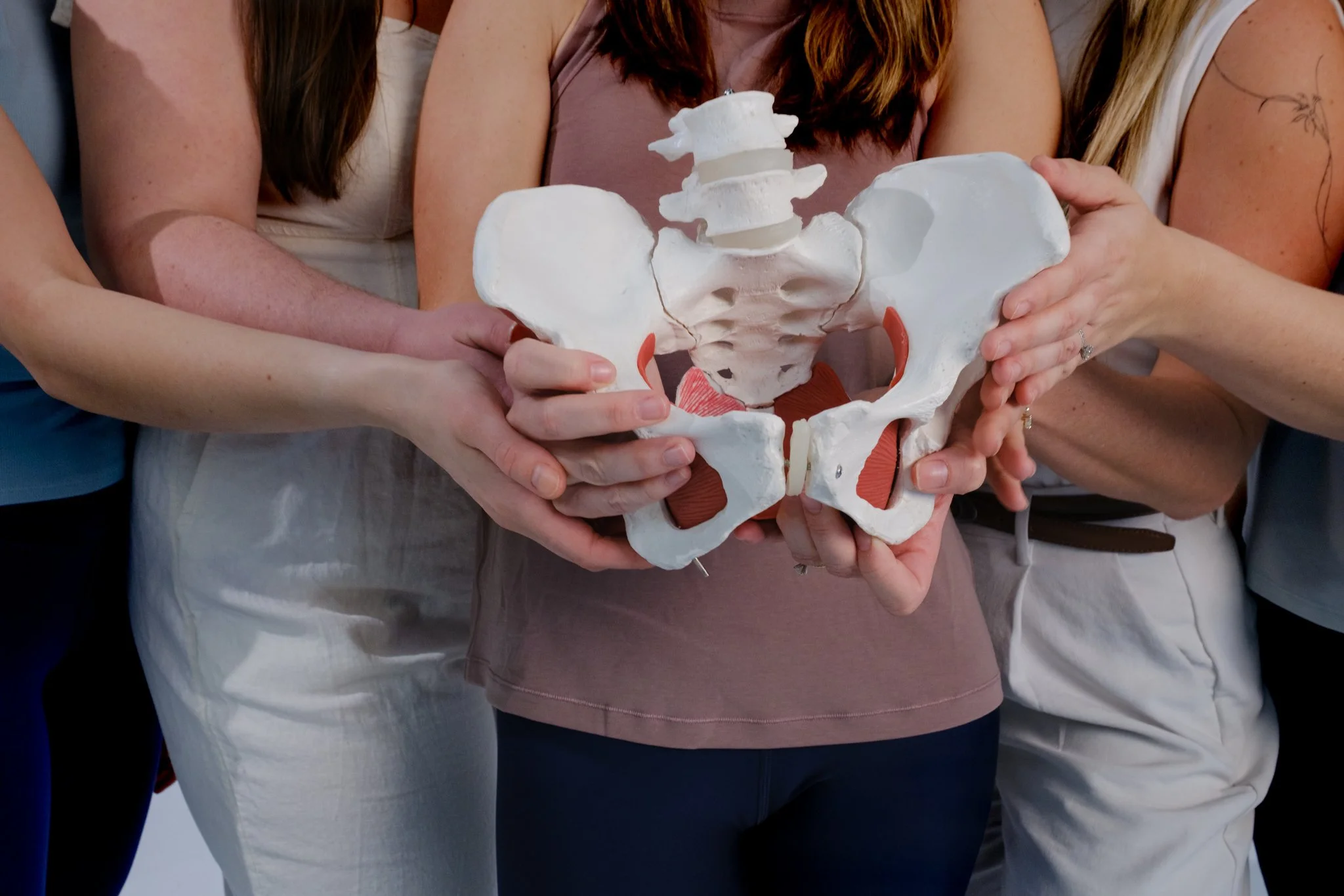 Bloom Pelvic Therapy