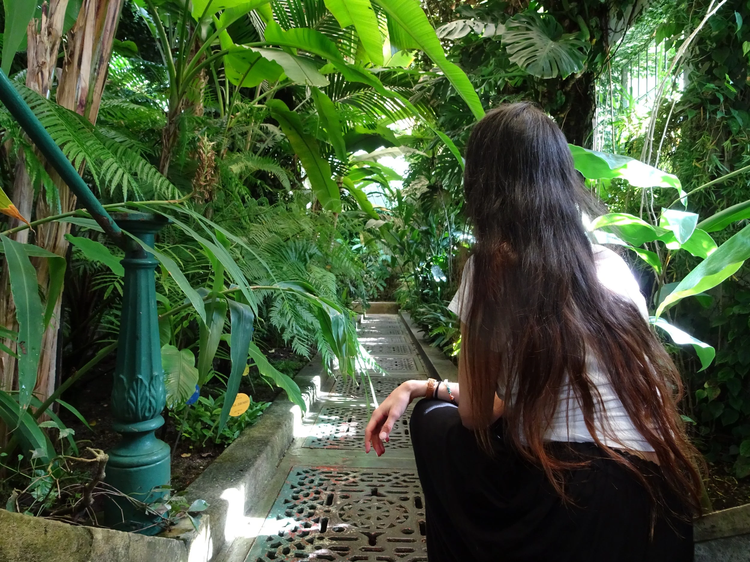 A person with long brown hair wearing a white shirt and black pants sitting on a pathway surrounded by lush green plants in a greenhouse or tropical garden.