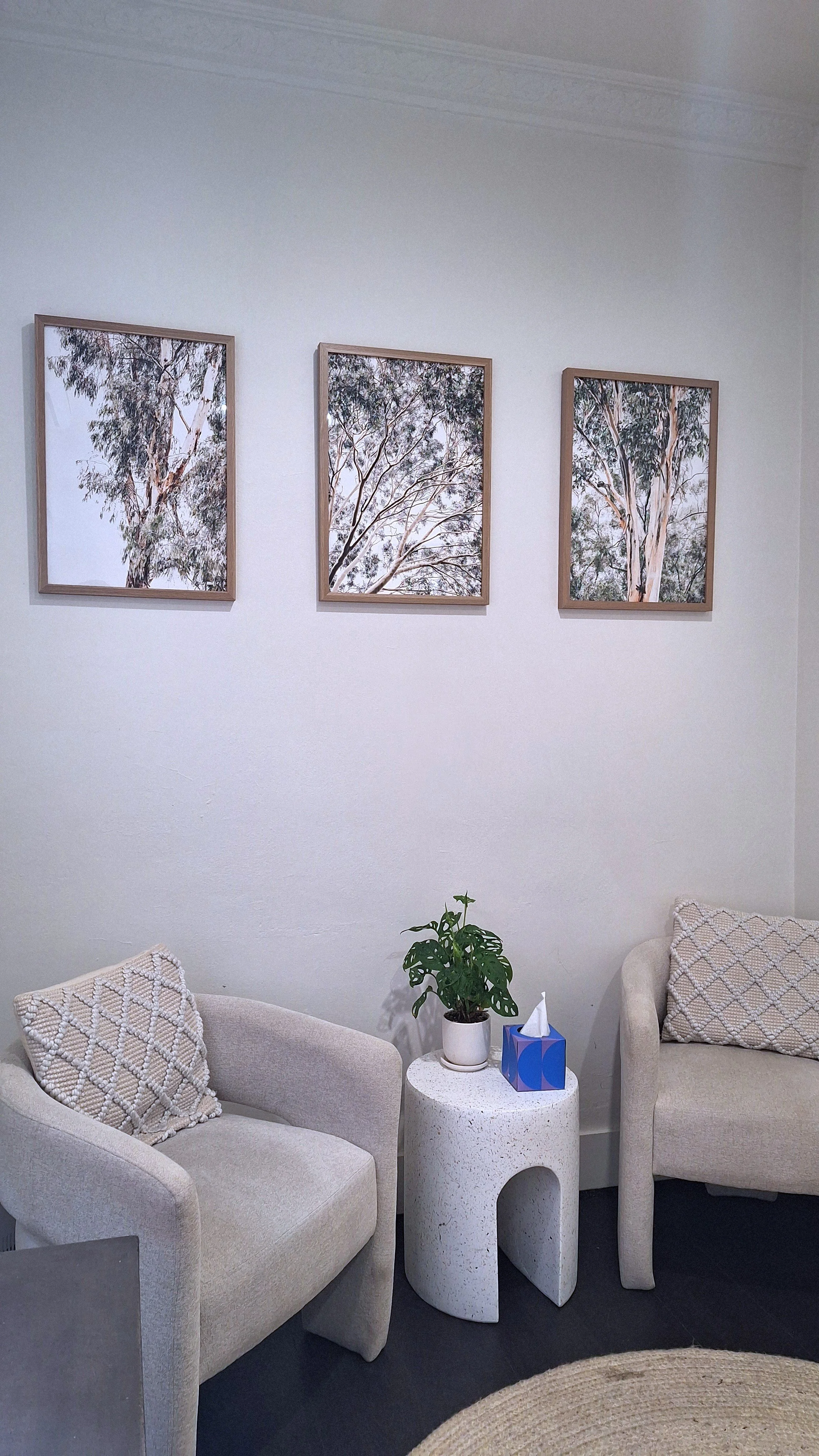 A cozy corner with two beige armchairs, one with a textured pillow, and a white speckled side table holding a green potted plant, a tissue box, and a decorative jar. Three framed pictures of tree leaves hang on the white wall above.
