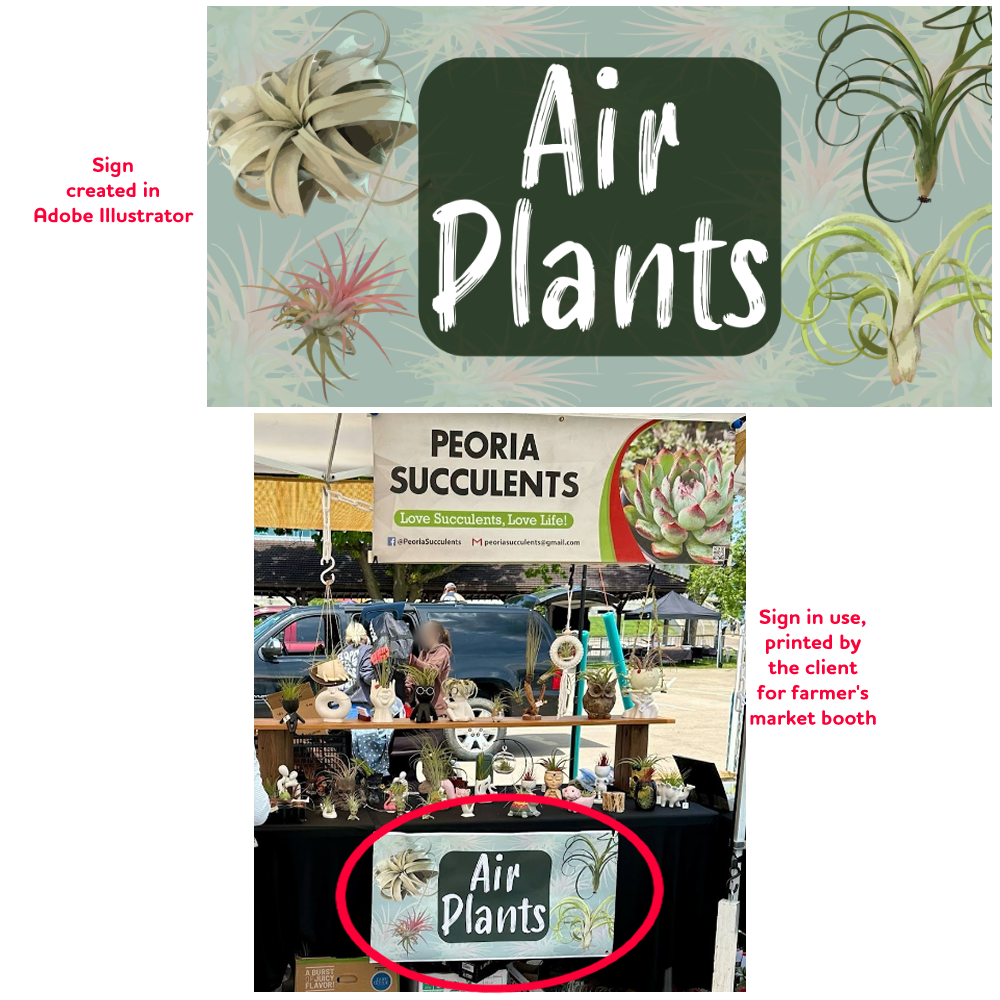 Air Plants Sign for Peoria Succulents