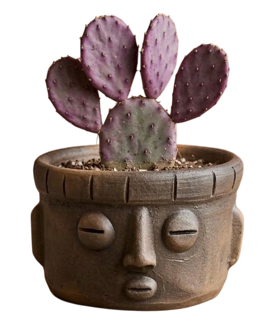 transparent4-Photoroom (1).png