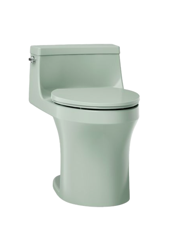 Aspen Green Kohler San Souci Toilet