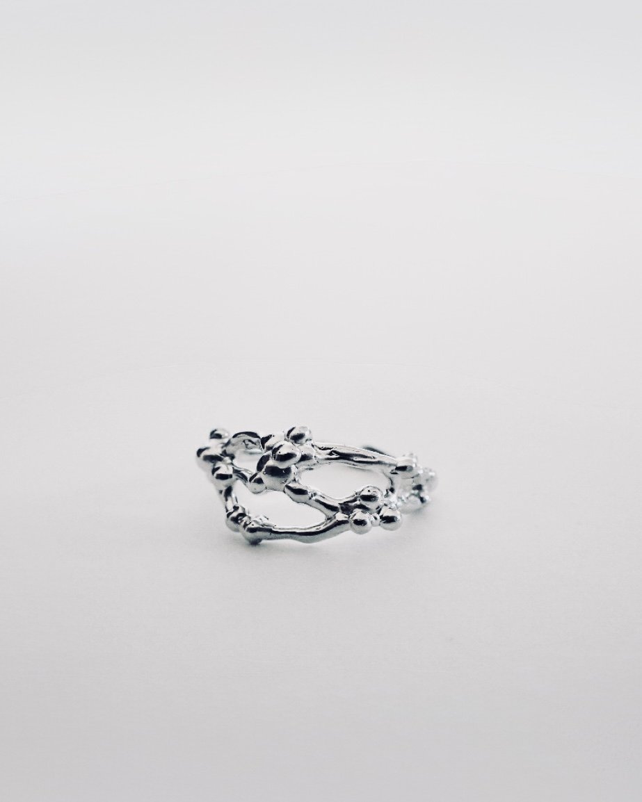 lentillifera ring