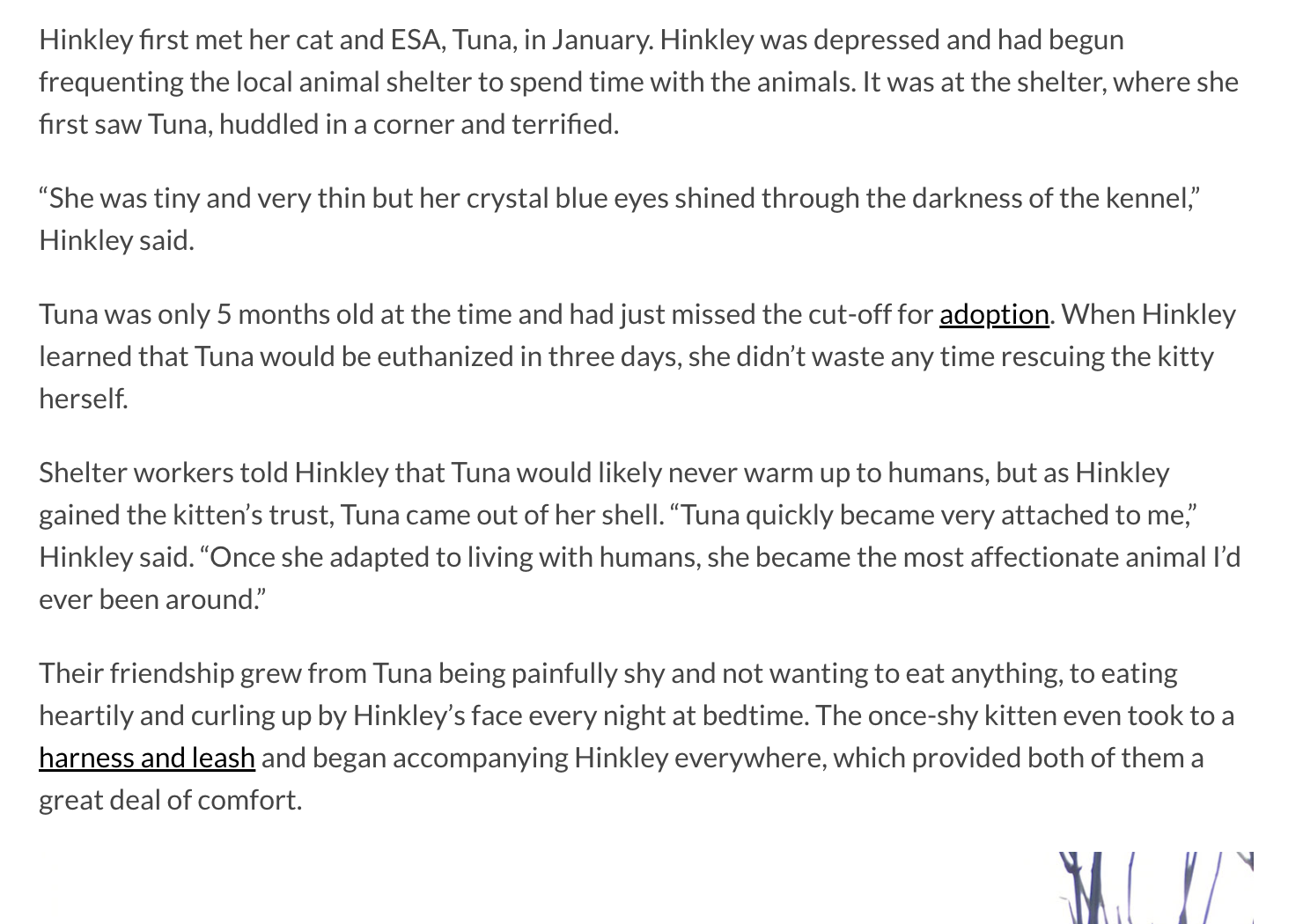 Screenshot 2026-01-28 at 8.03.13 PM.png