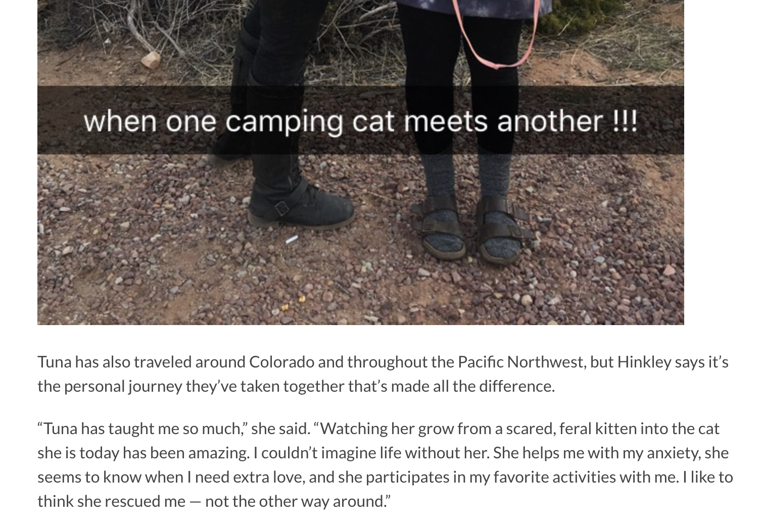 Screenshot 2026-01-28 at 8.03.31 PM.png