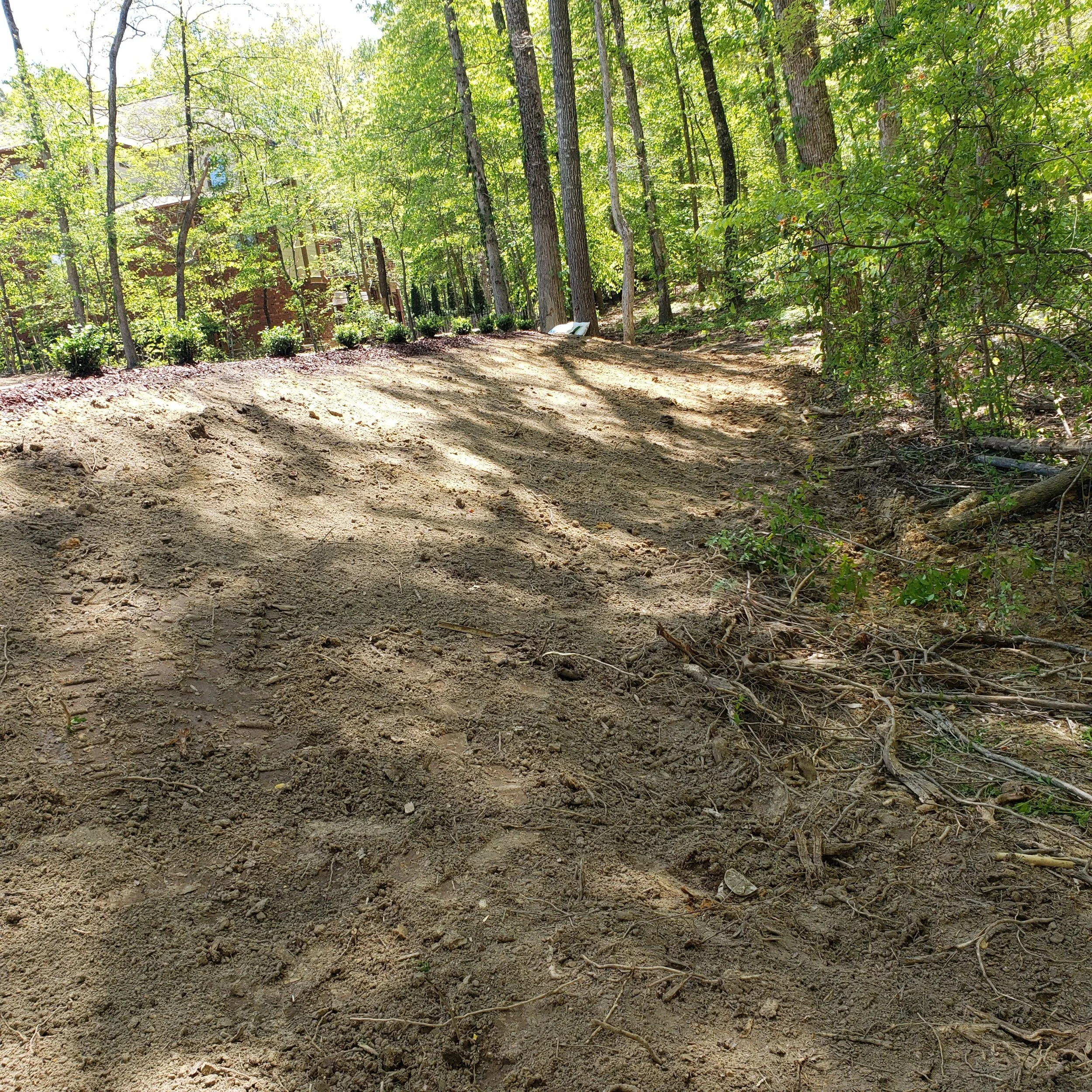 processed_20200418_135316(1).jpg