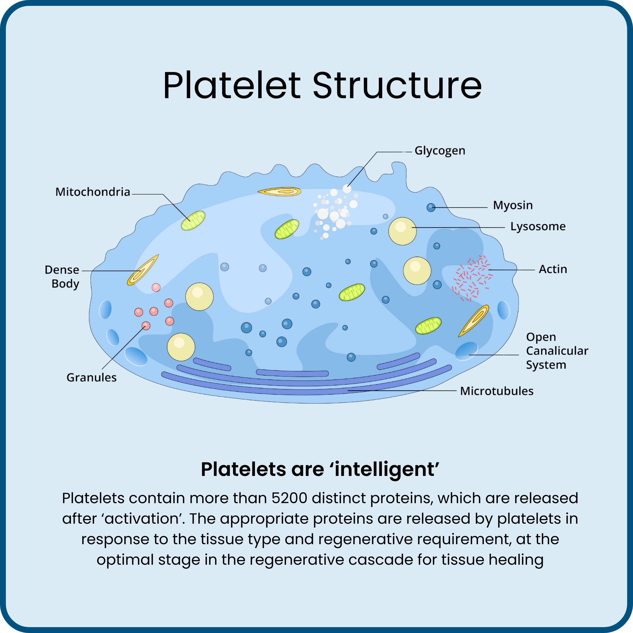 Autologous regenerative medicine PRP procedures Australia - Alocuro