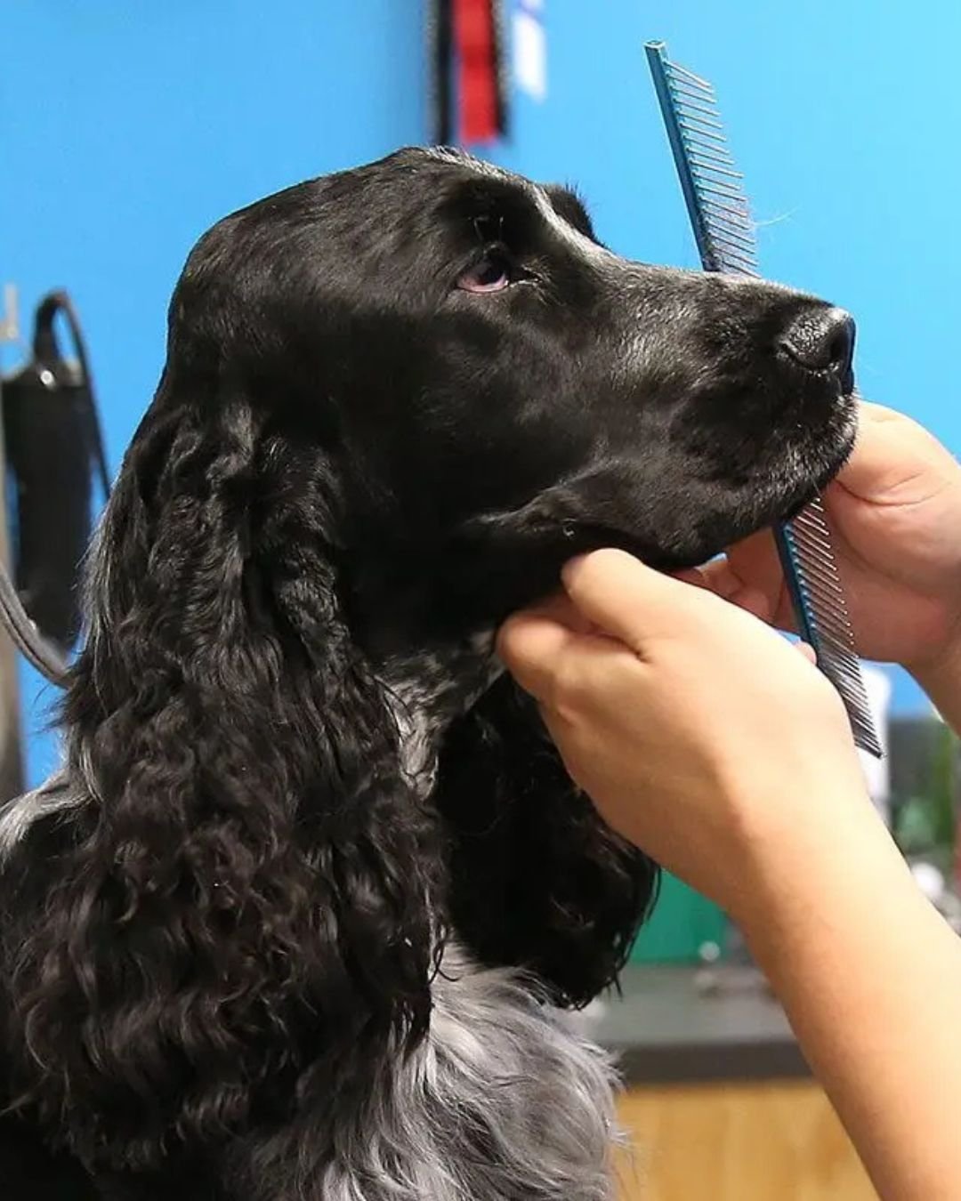 EXTERNAL_JESSIE (3).jpg