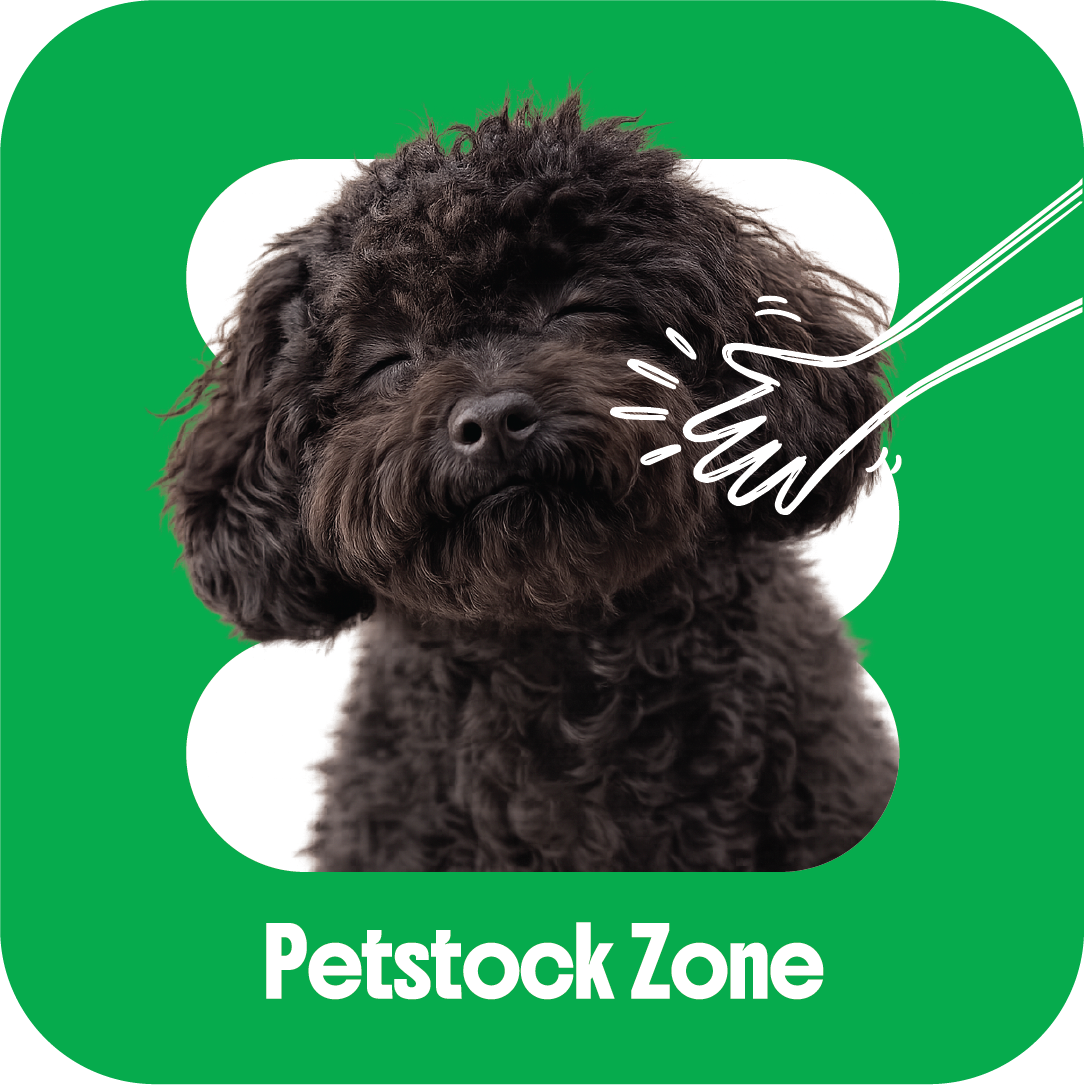 A black fluffy puppy with closed eyes in front of a green background with white dots, a white doodle of a hand giving a high five, and the text 'Petstock Zone'