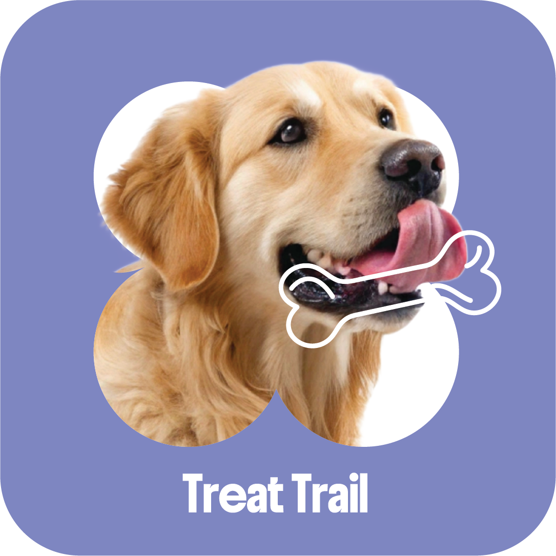 Illustration of a golden retriever dog with a roasted chicken bone in its mouth, set against a purple background with the text "Treat Trail" at the bottom.