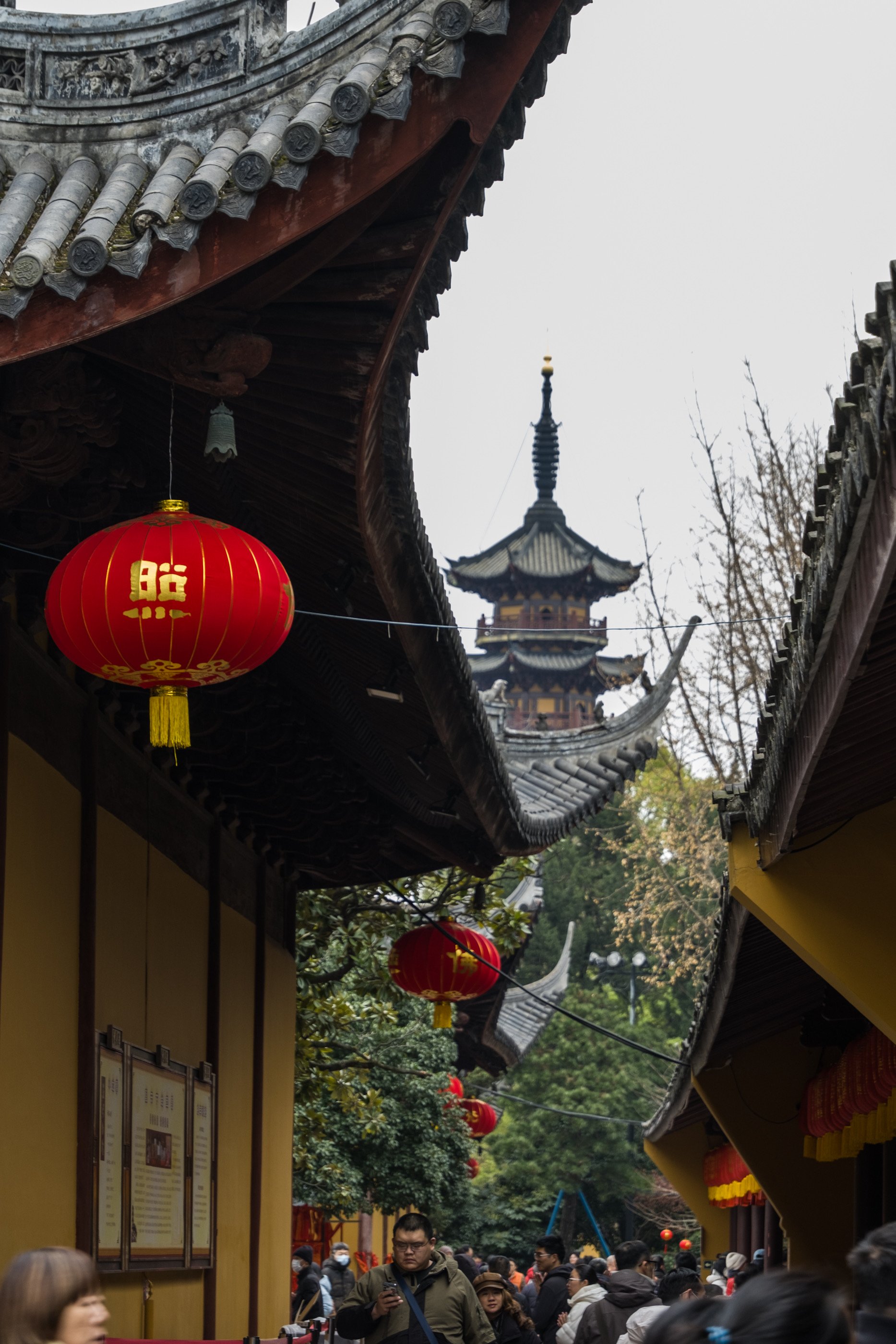 708CEFA6-E5CB-4A14-8FA4-B70264359685.jpeg
