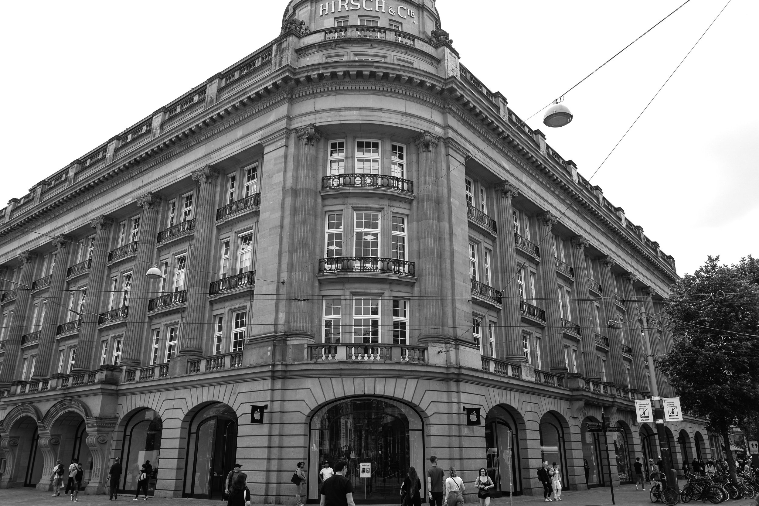 187746E4-0AA5-4B37-A49E-2117A46D9918.jpeg