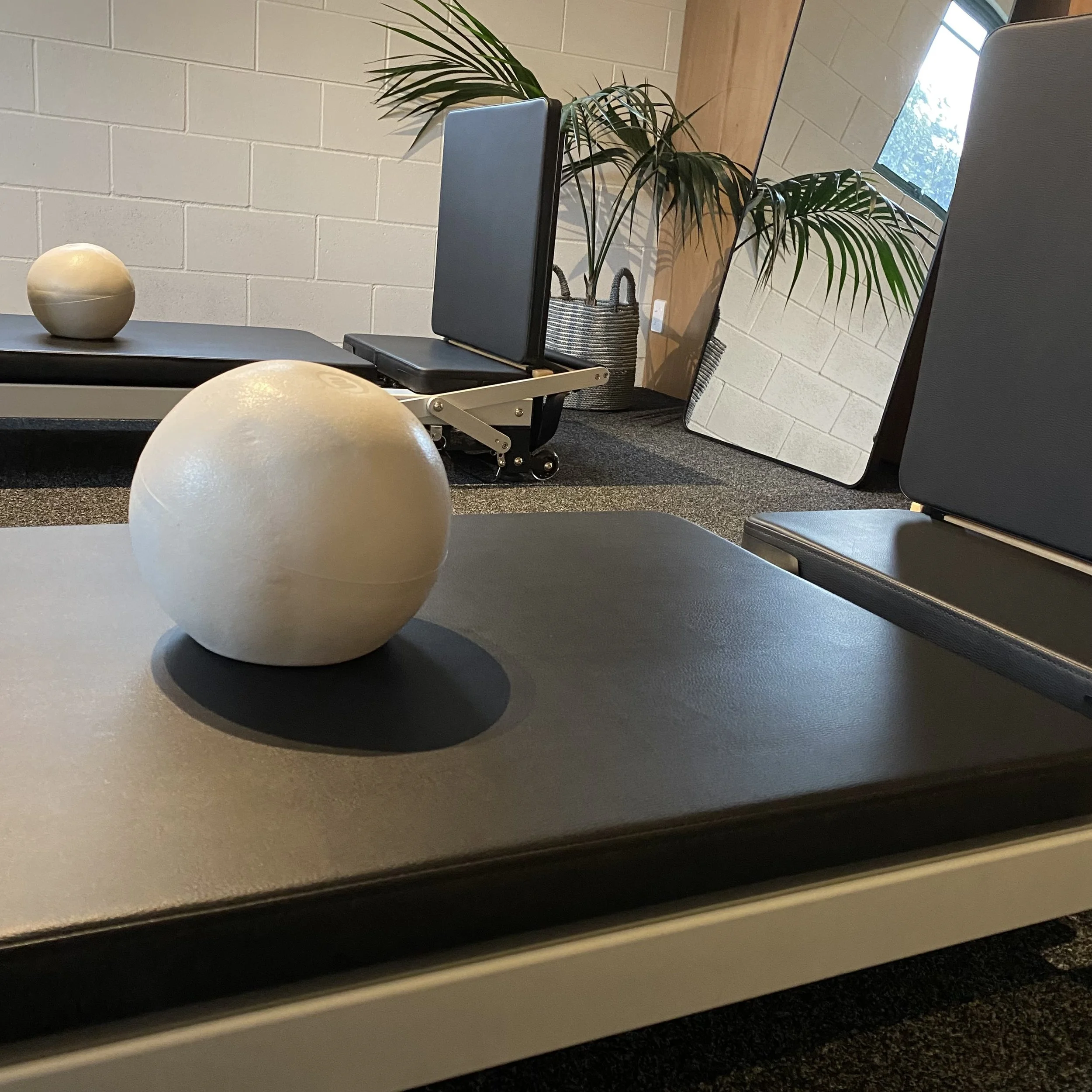 Pilates reformer and a mirror in a fitness or yoga studio with plants and a window.