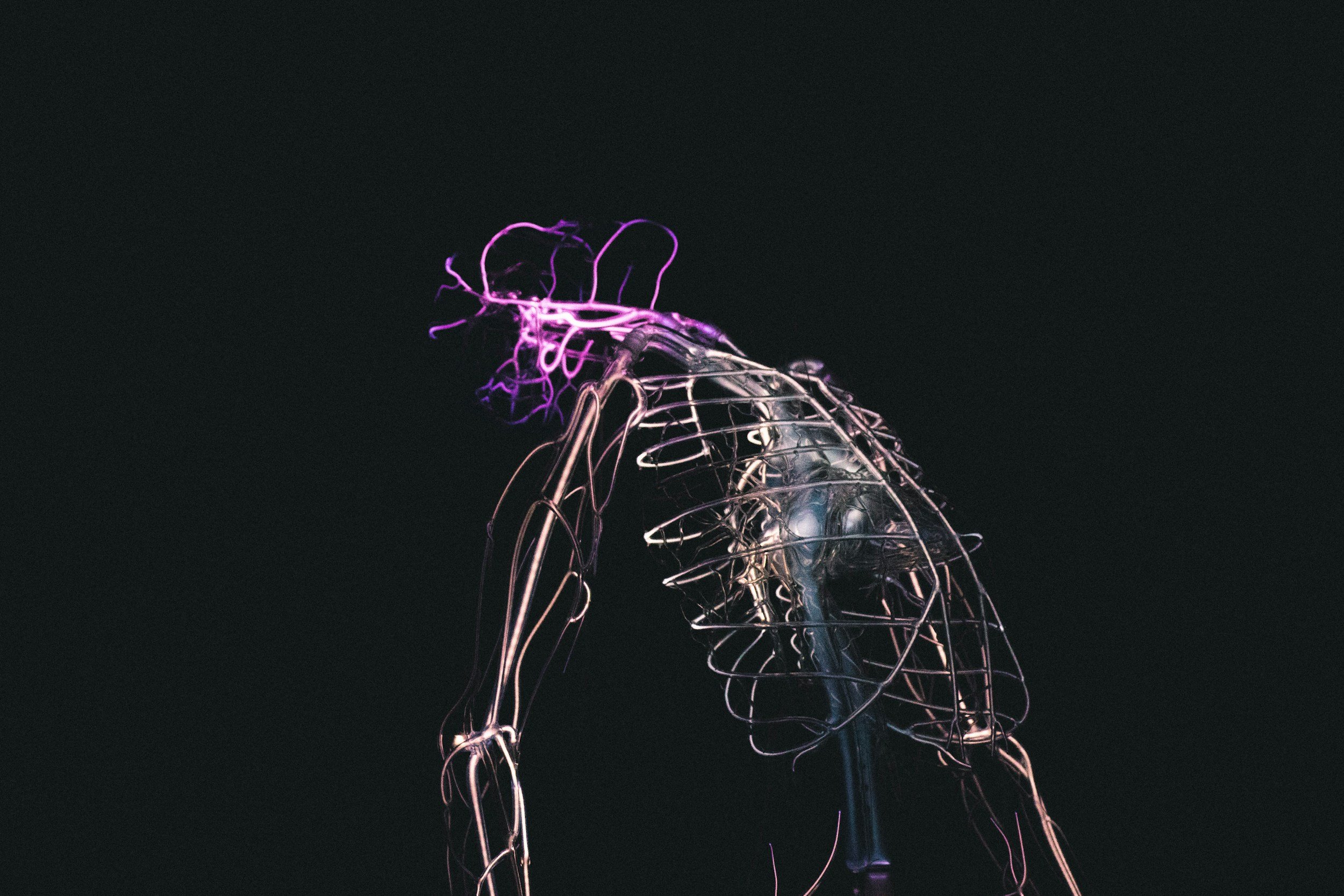The Vagus Nerve