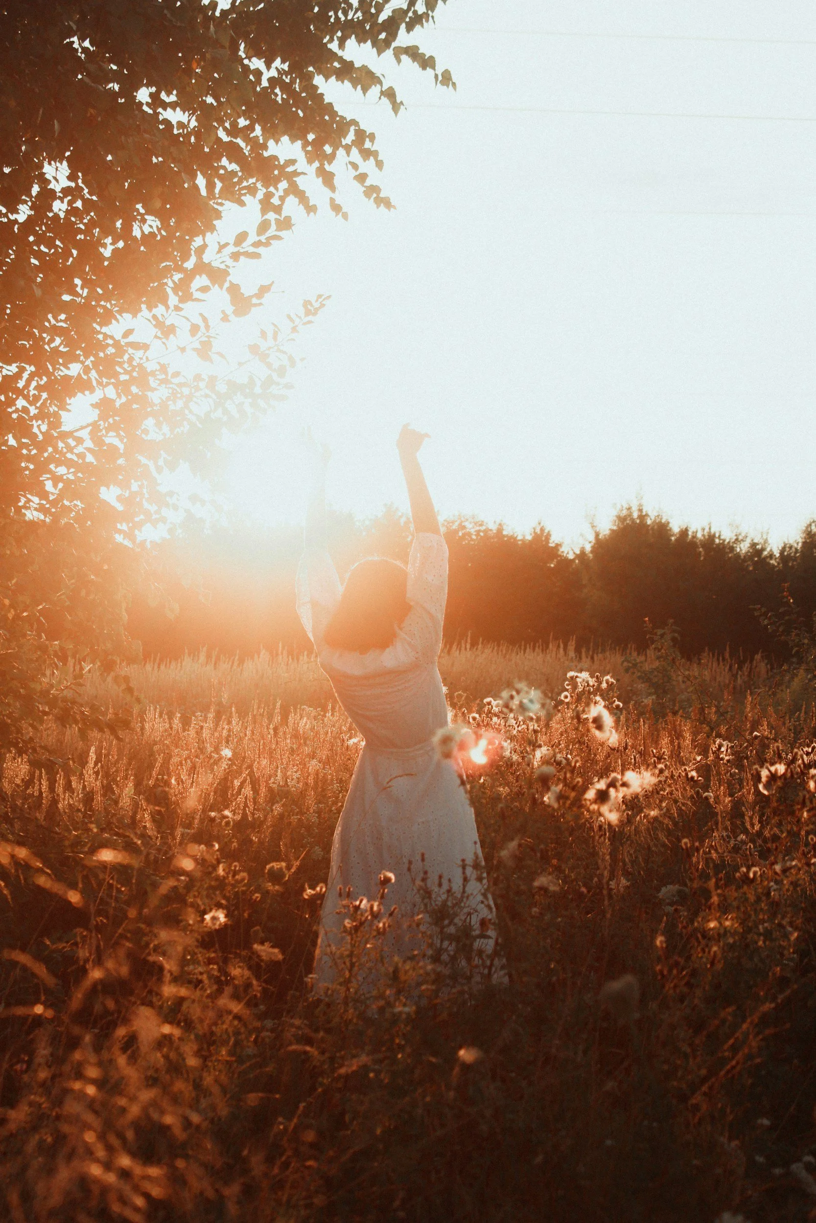 Woman reaching arms up in beautiful sunlight, celebrating, connecting, resourced, regulated