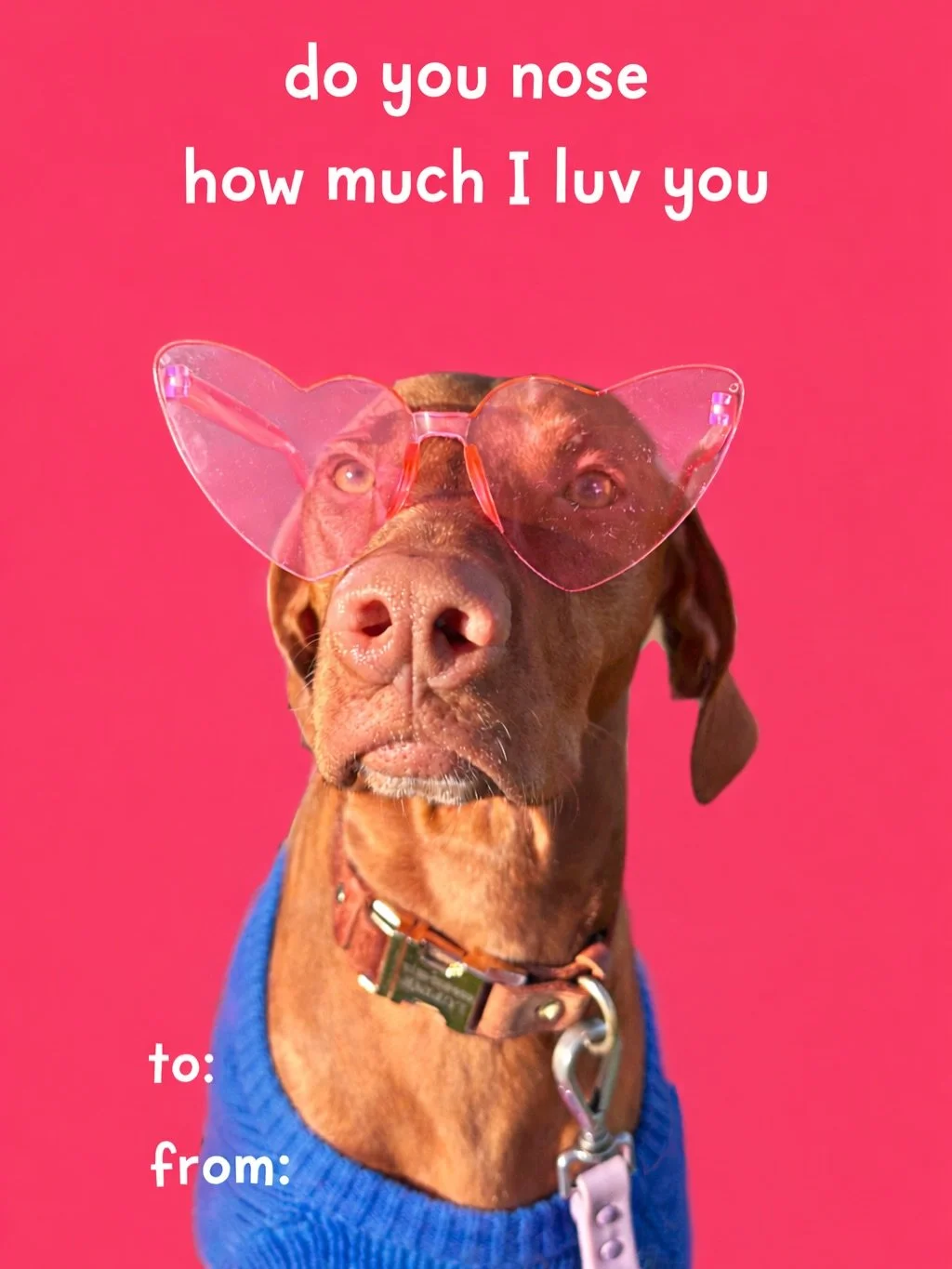 from my paws to yours ❤️ #fyp #valentinesday #trending #fyppppppppppppppppppppppp #dogs