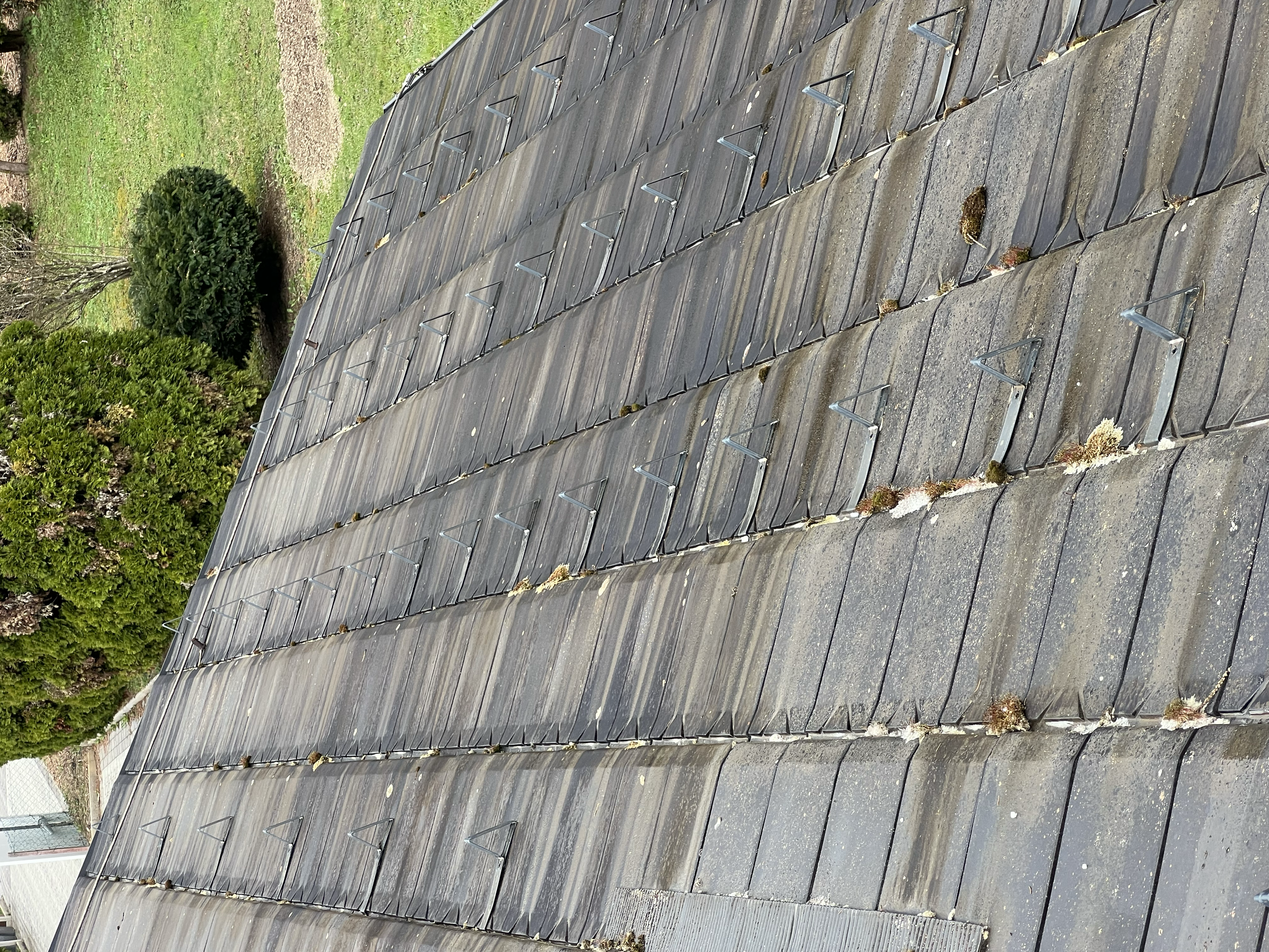 A roof with asphalt shingles and metal hooks or brackets attached, with green shrubs and trees in the background.