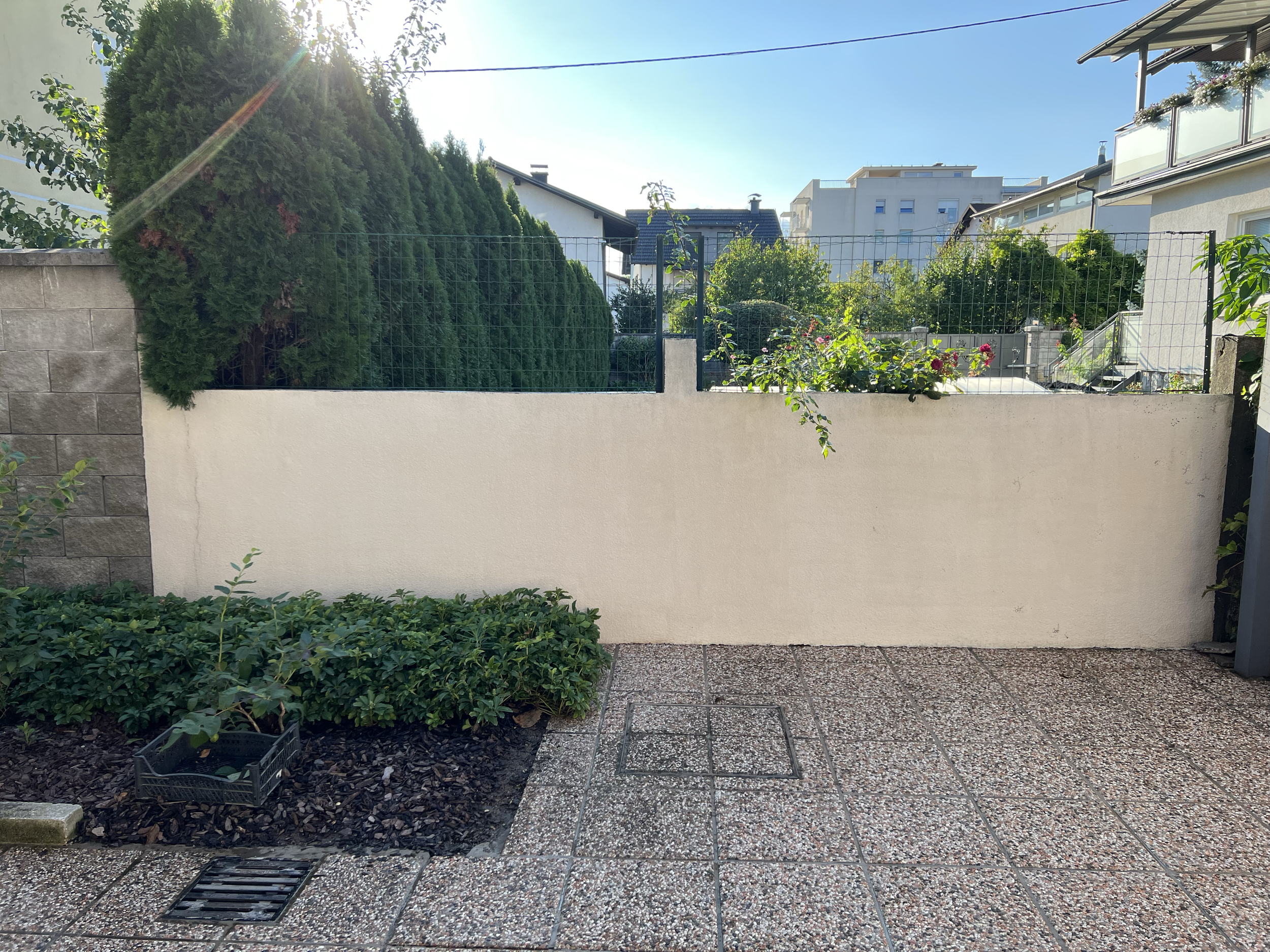 A backyard garden with a white wall, green bushes, pink flowers, a stone-paved patio, and a fence under a clear blue sky with sunlight.