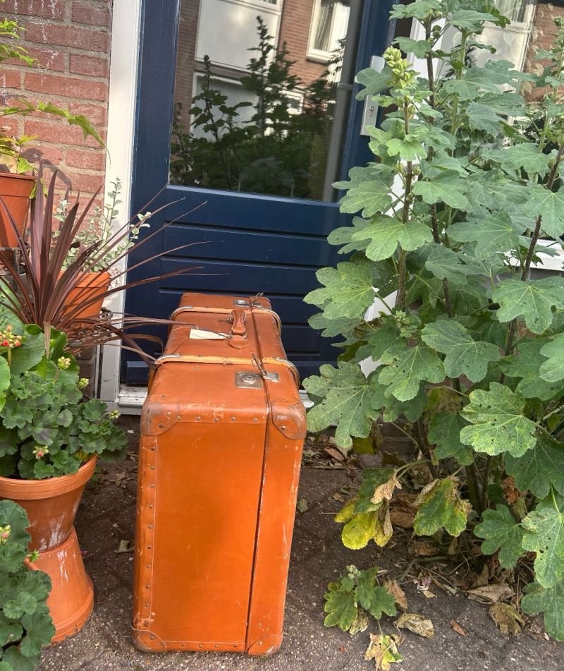 Ziekenhuis uit, en dan? Als zorg op loyaliteit leunt.
