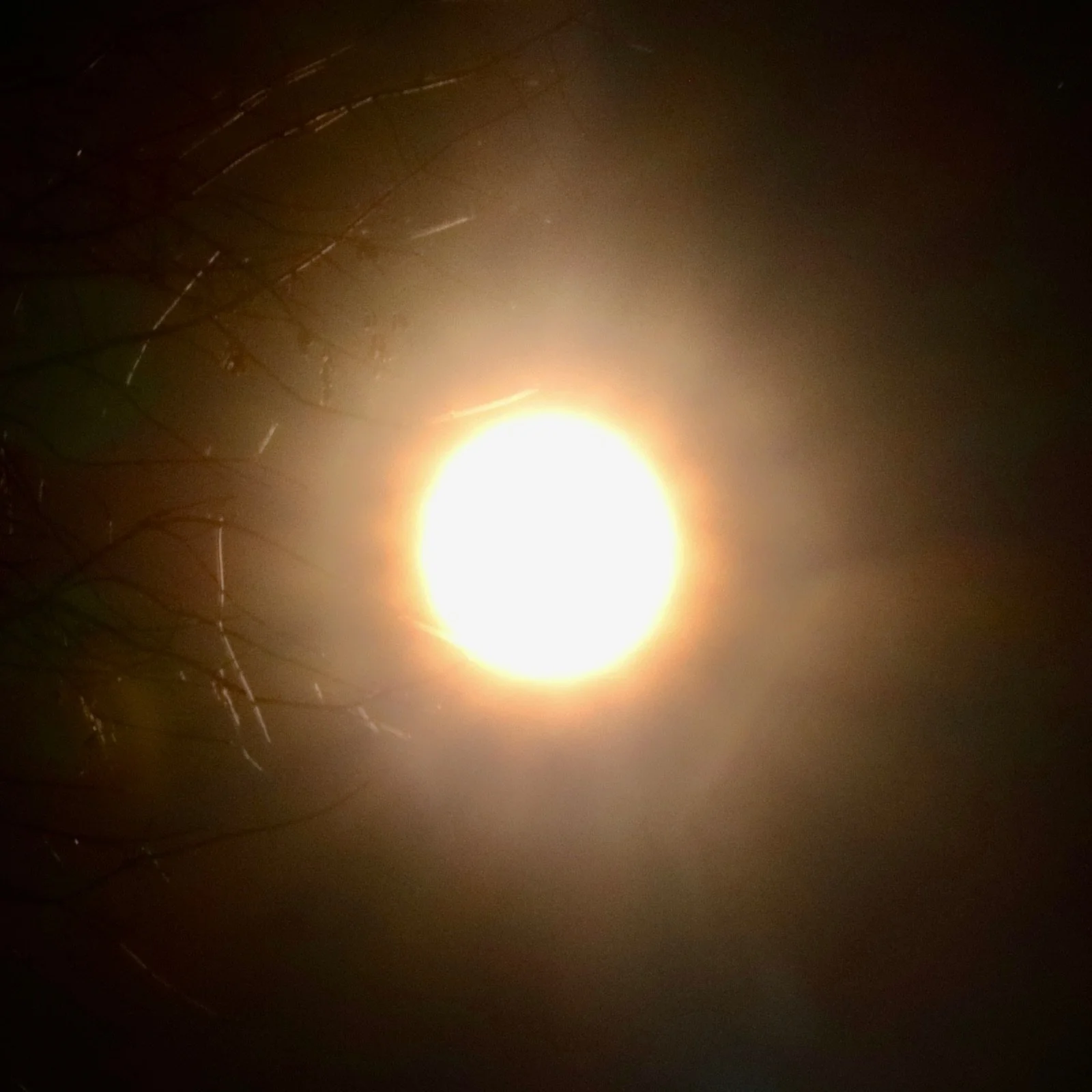 Leuchtender Vollmond am Nachthimmel mit dunklen Ast- und Zweiglinien im Vordergrund.