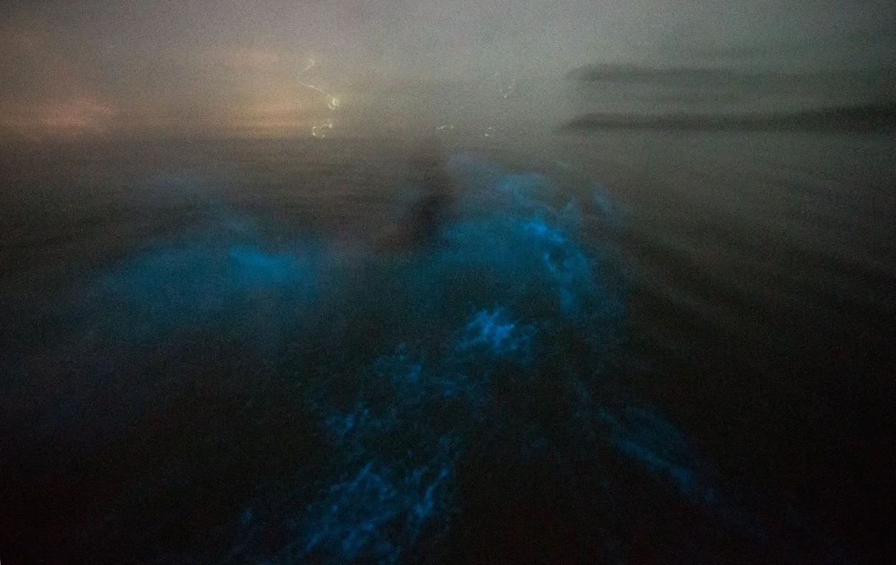 Photography Coaching Barcelona | One-to-One Lessons