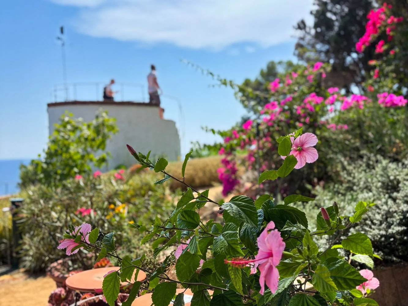 Marimurtra Botanical Garden – Coastal Ceremony Perfection