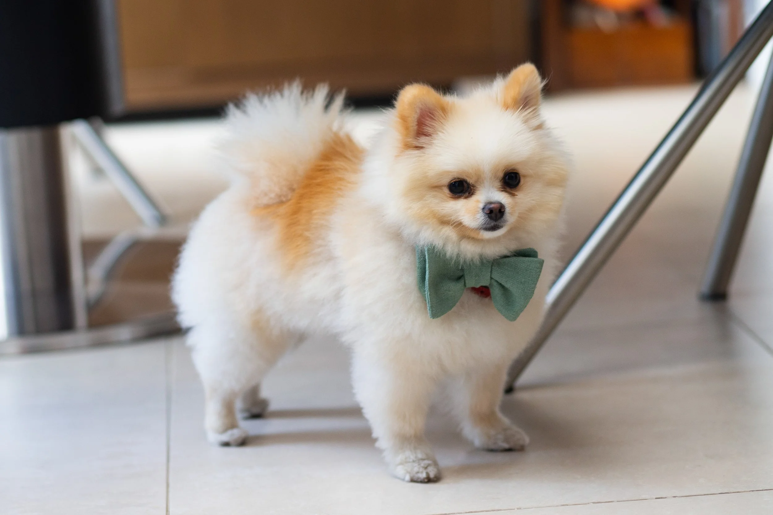 Real, unposed moment during a relaxed destination wedding in Spain