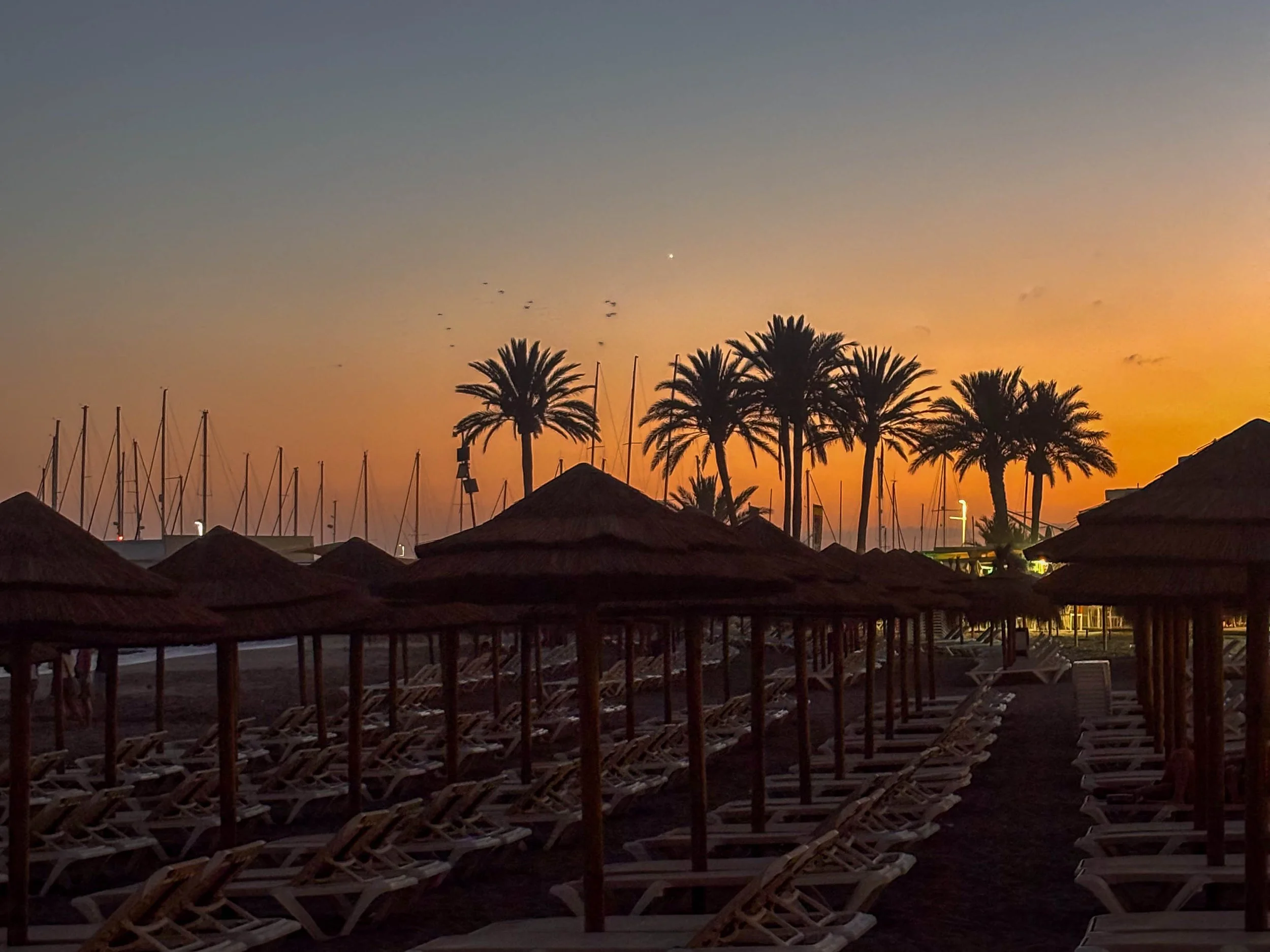 Luxury wedding venue in Marbella surrounded by Mediterranean gardens
