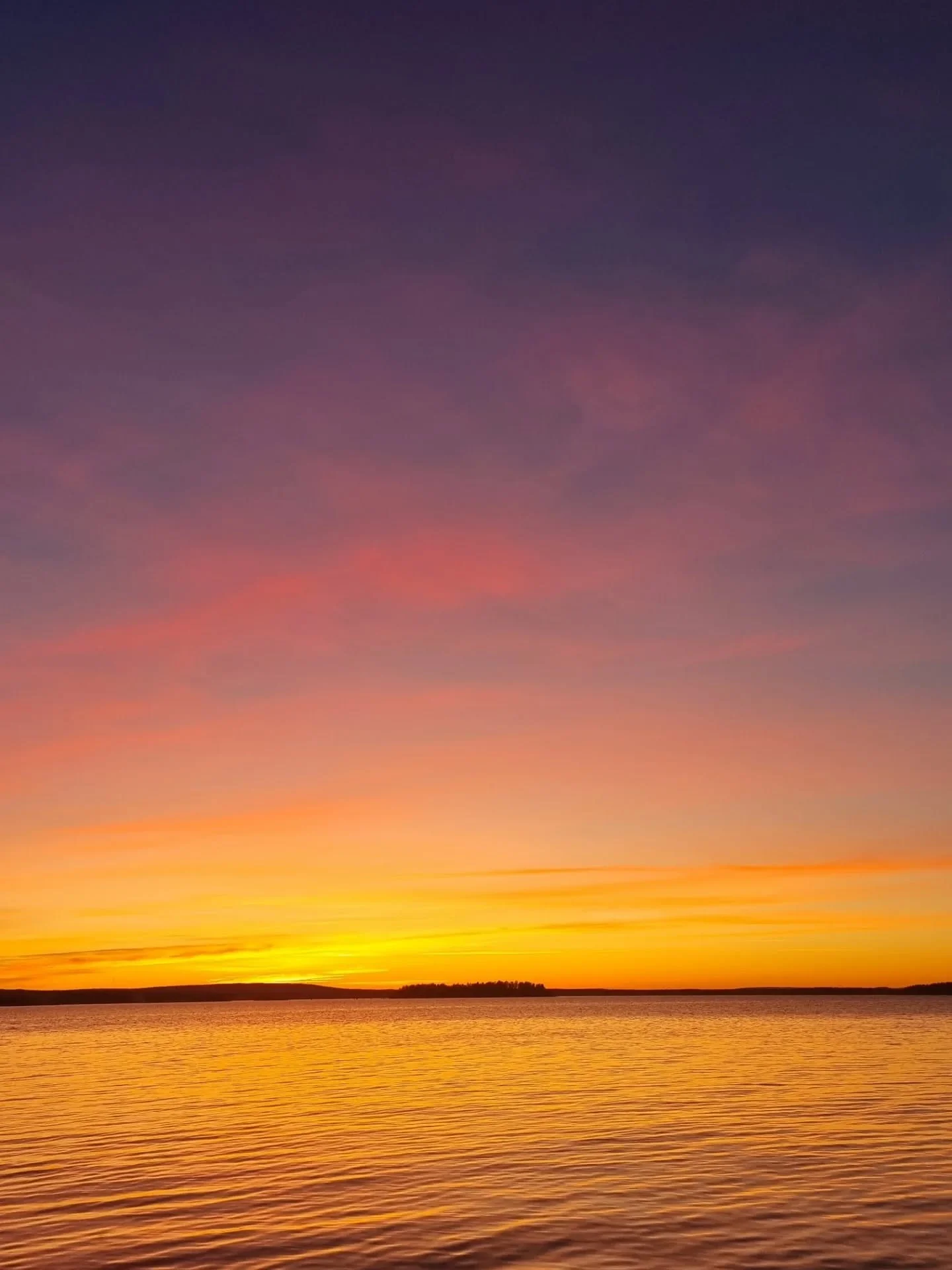 Vacker himmel och nyfiken s&auml;l ...