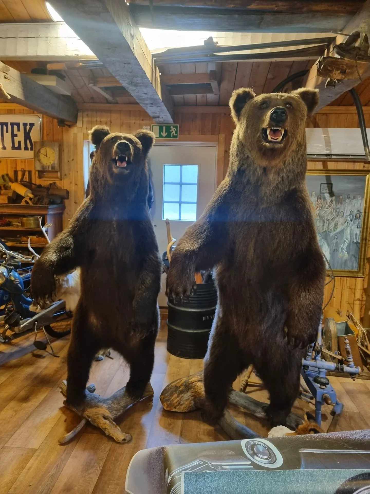 Vippabacken. P&aring; v&auml;g till uppdrag i Pajala med Petra och &Aring;sa 🐻