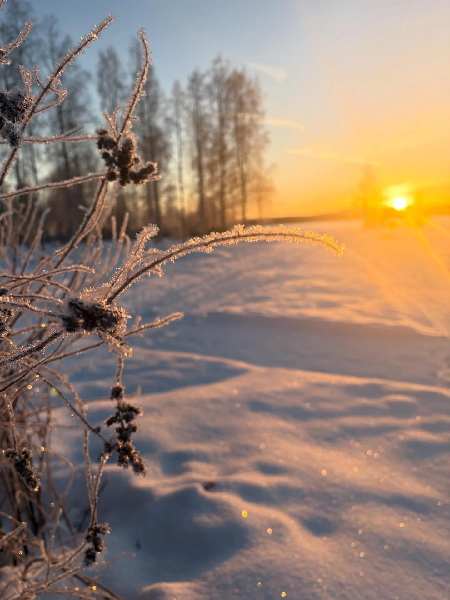 December i Lule&aring; 🫶❄️☀️