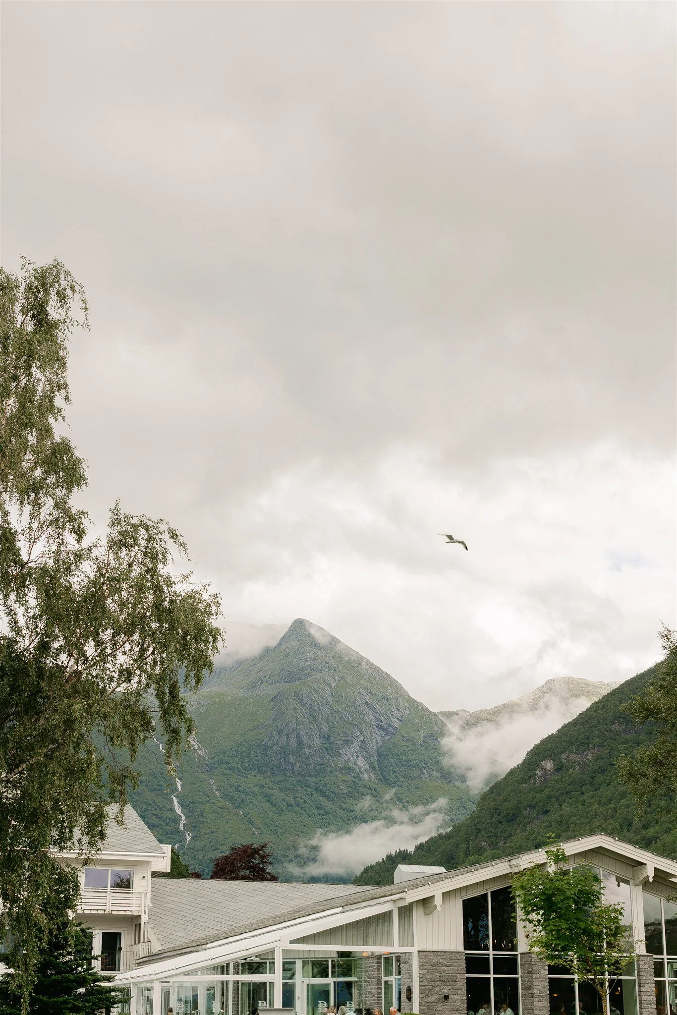 IMG_0031_websize 2.JPG