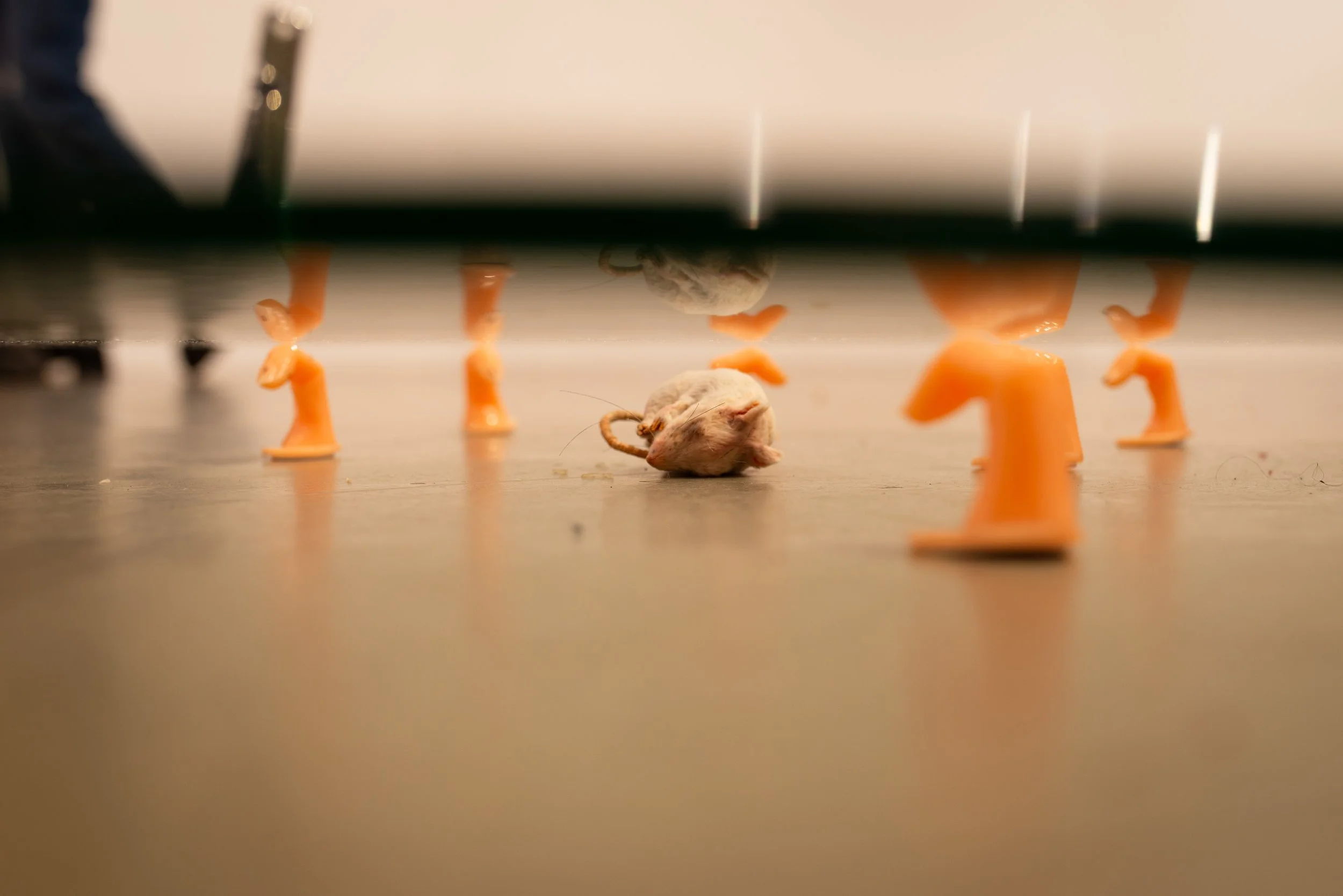 The Mouse Who Ate Fingernails, 2023. Detail shot.