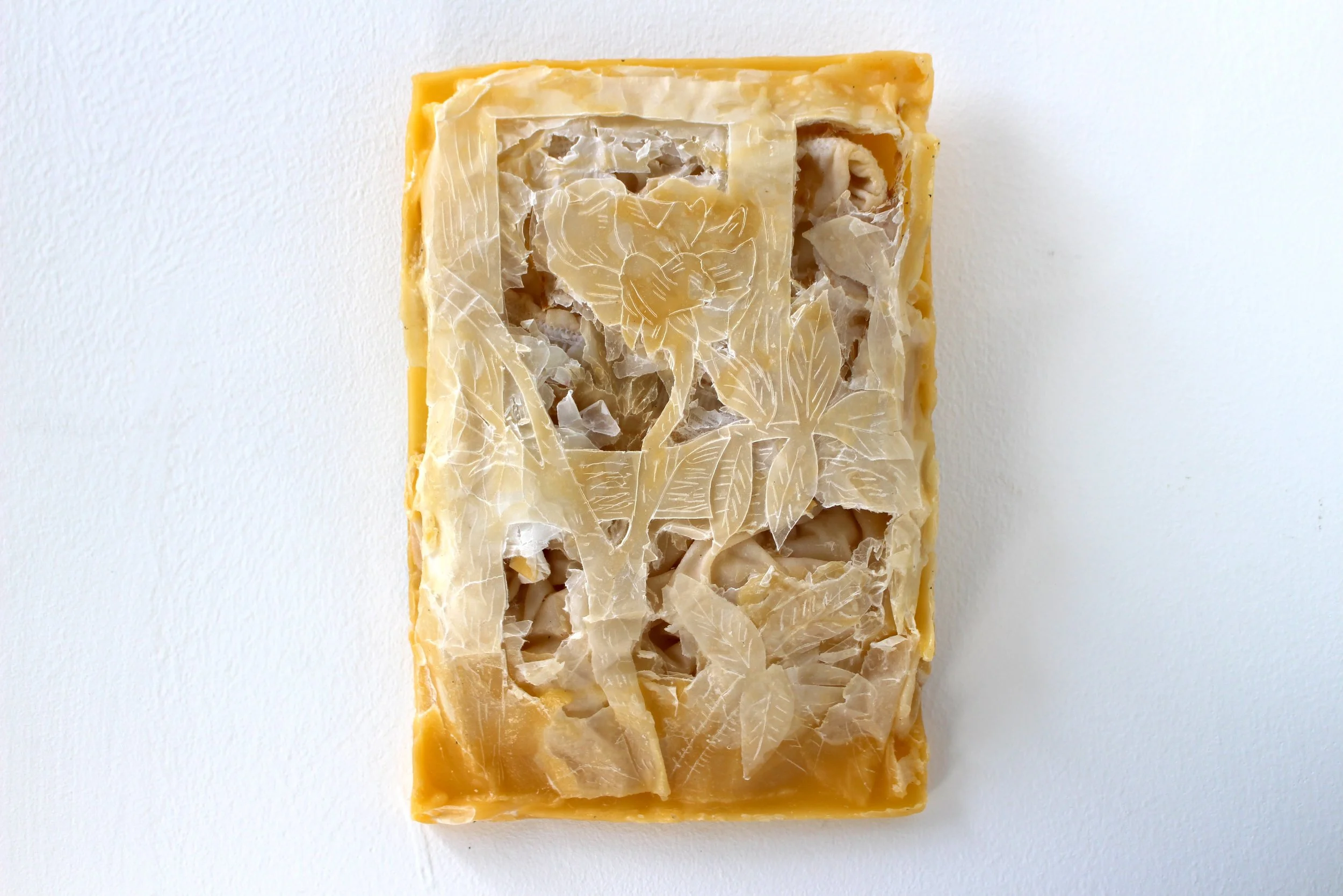 Trellis, 2026. Beeswax, soy sauce-stained and washed cotton shorts, Hanji—29 x 20 x 4 cm
