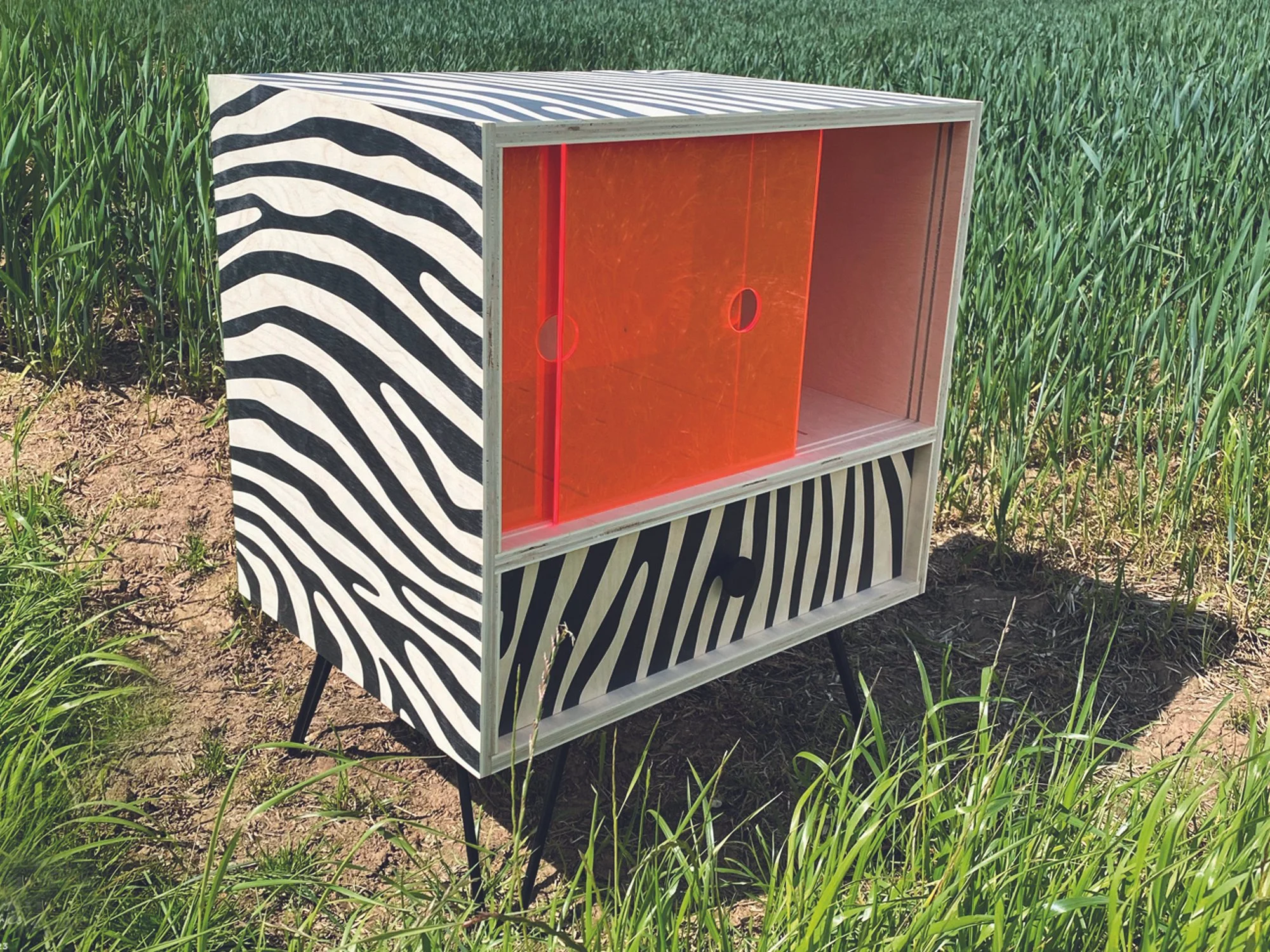 Wallmade Zebra Print Stereo Unit.jpg