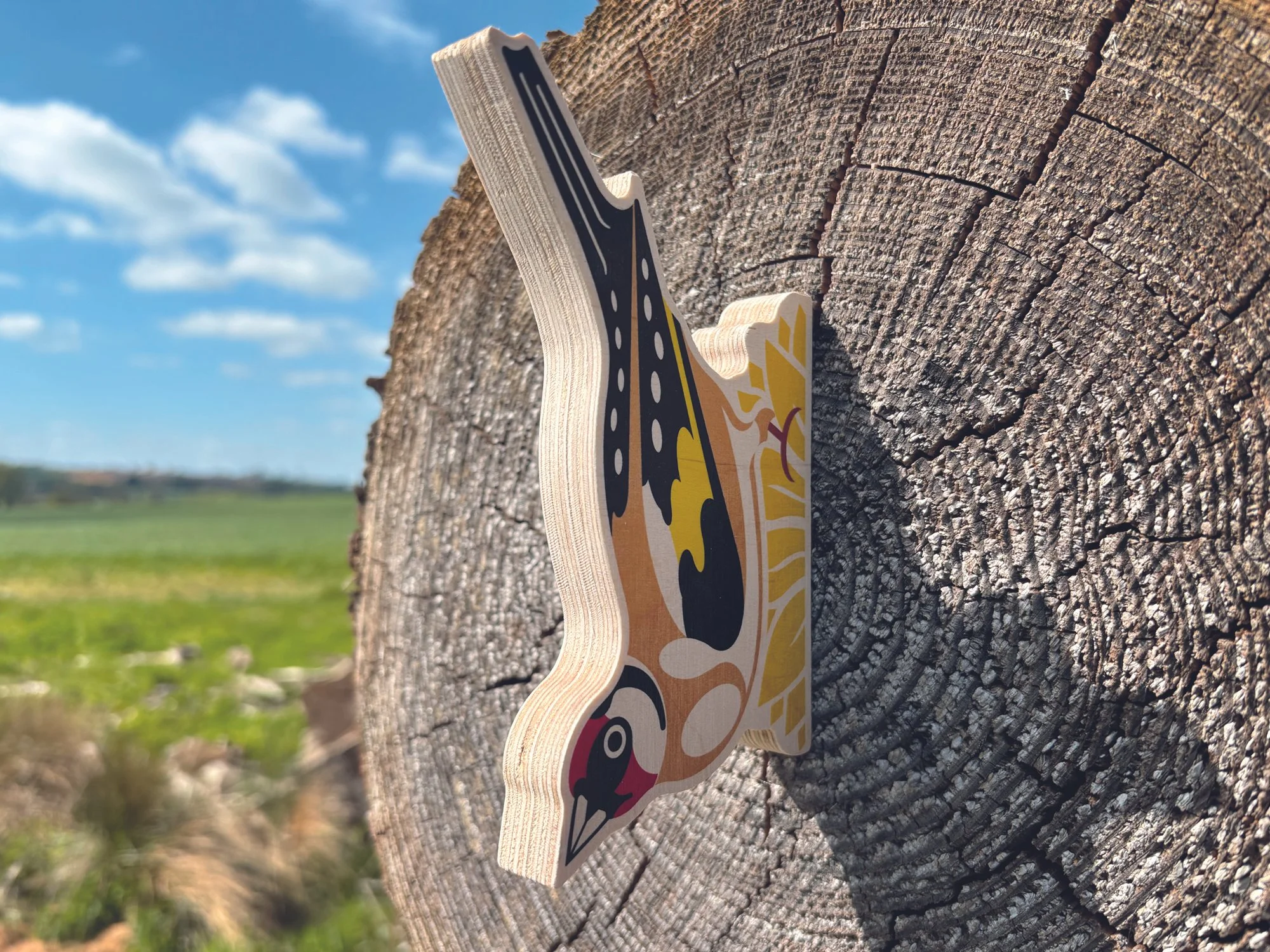 Goldfinch on log.jpg