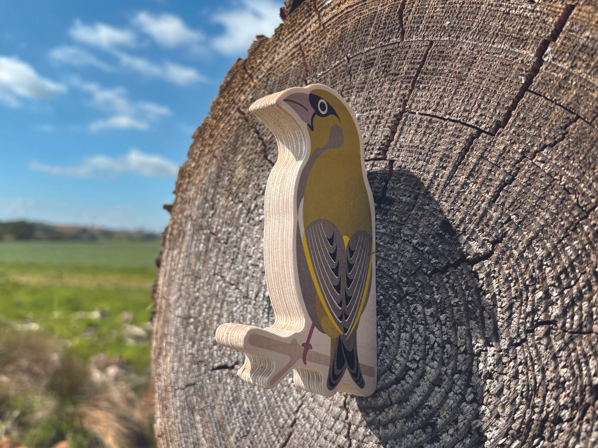 Greenfinch on log.jpg