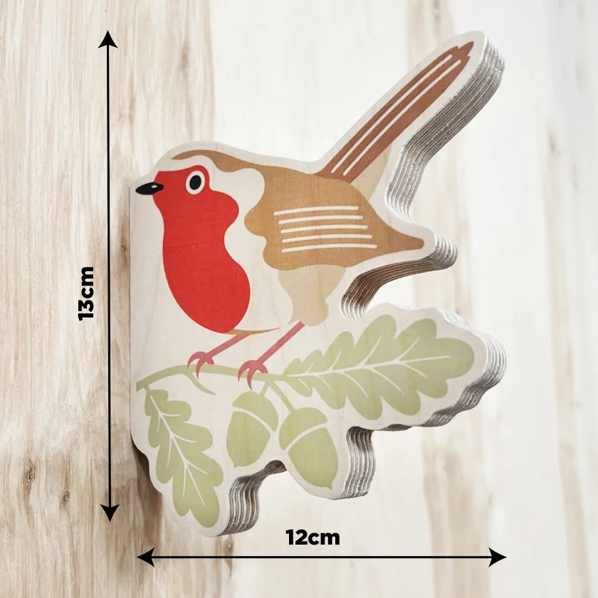 Robin Measurements.jpg