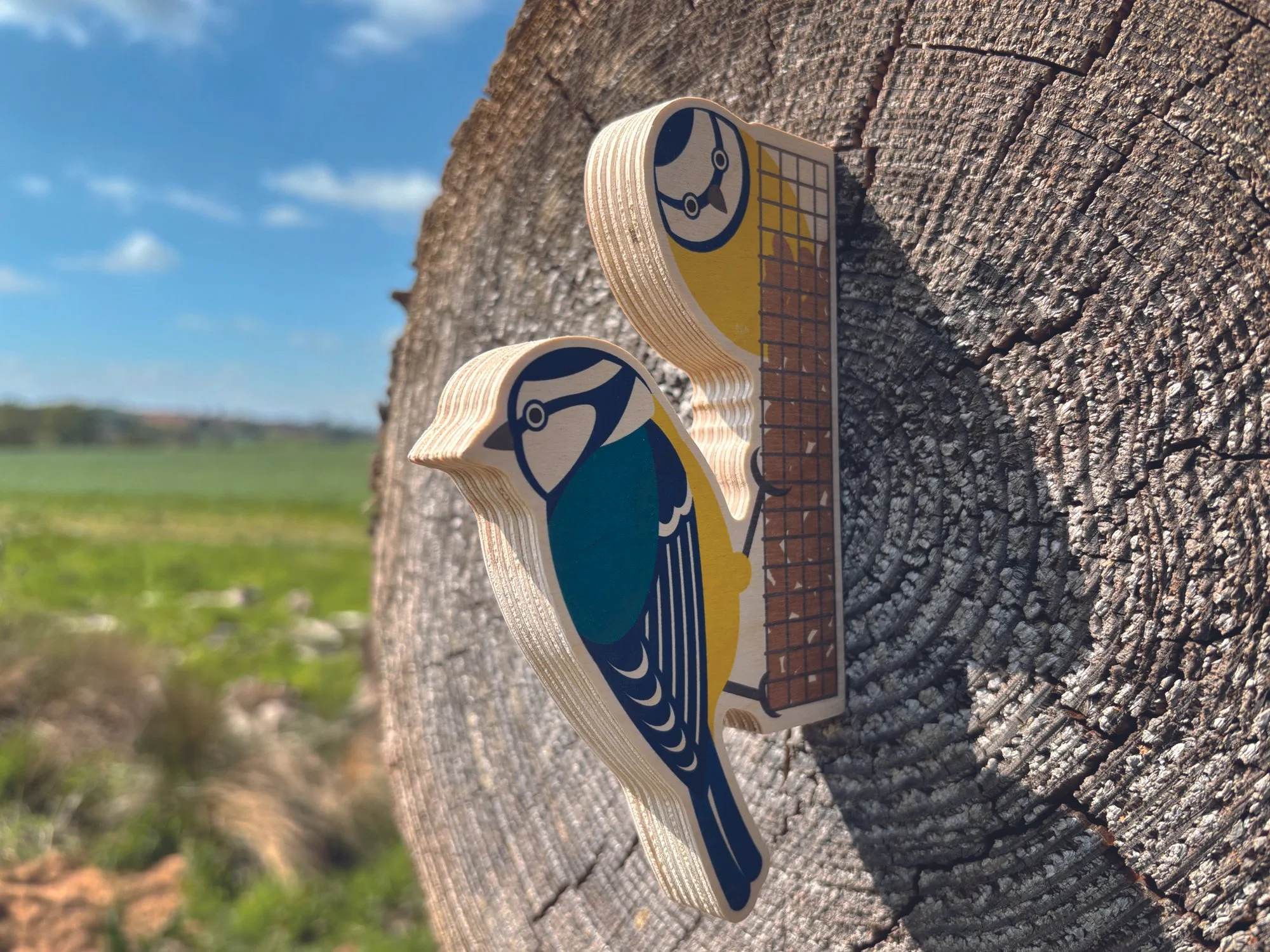 Blue tit on log.jpg