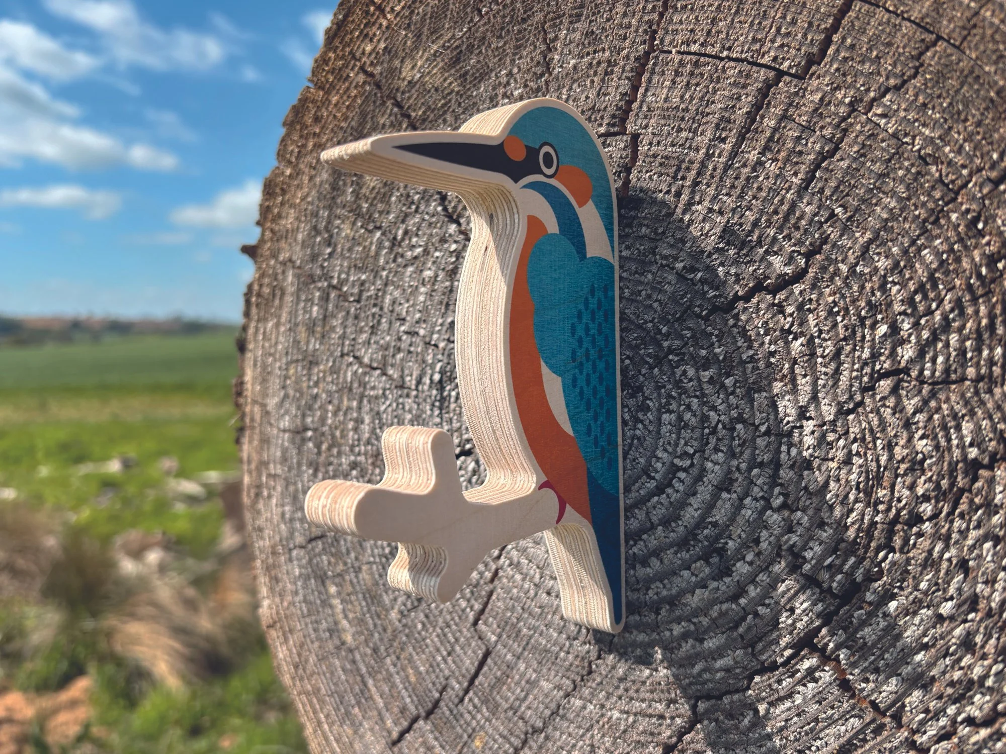 Kingfisher on log.jpg