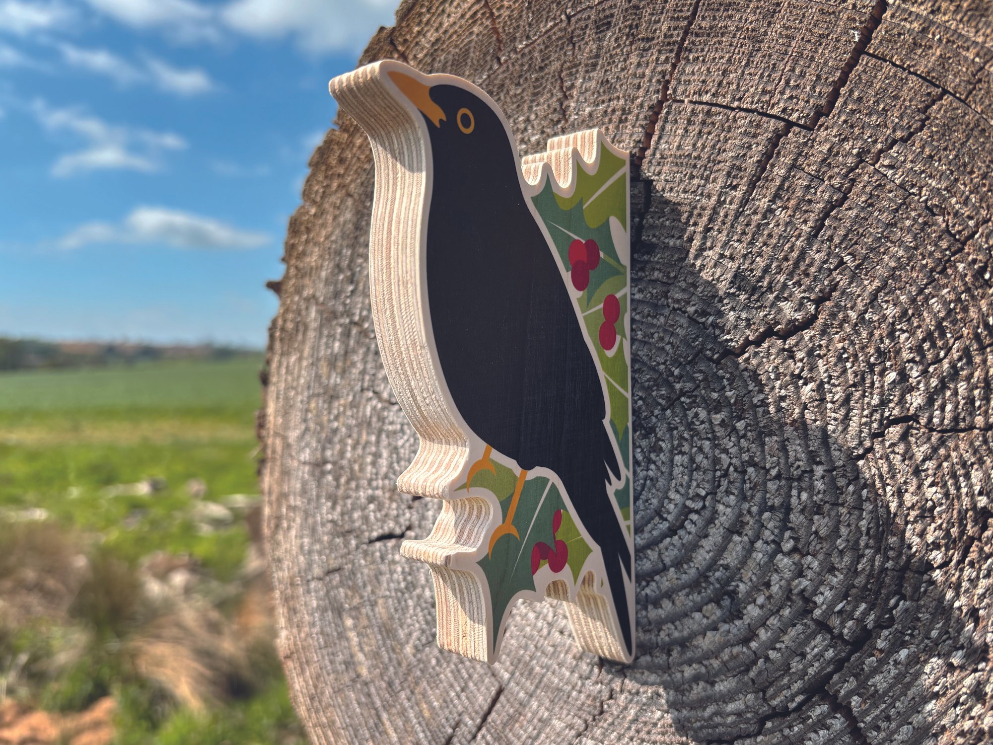 Blackbird on log.jpg